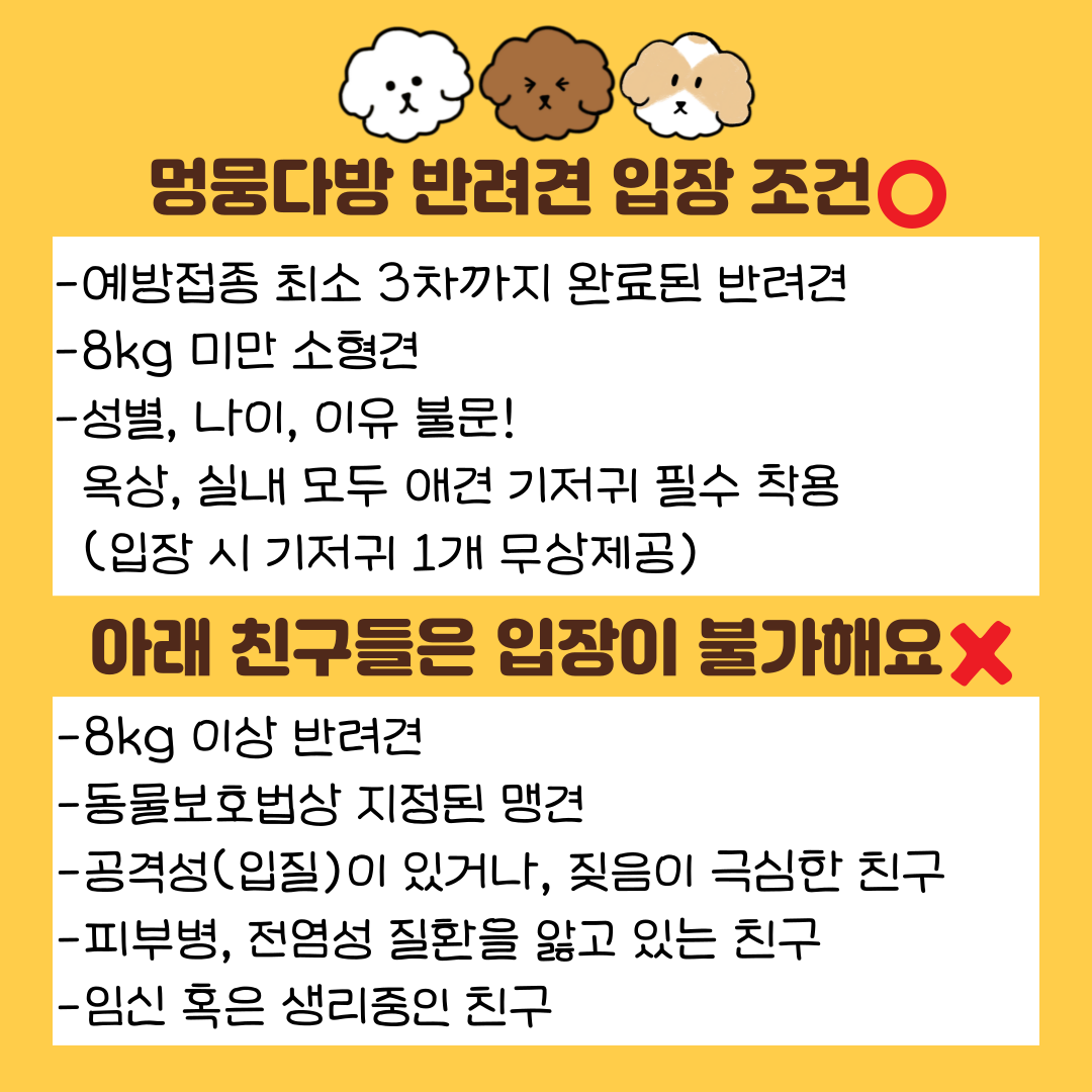 멍뭉다방 대표 이미지