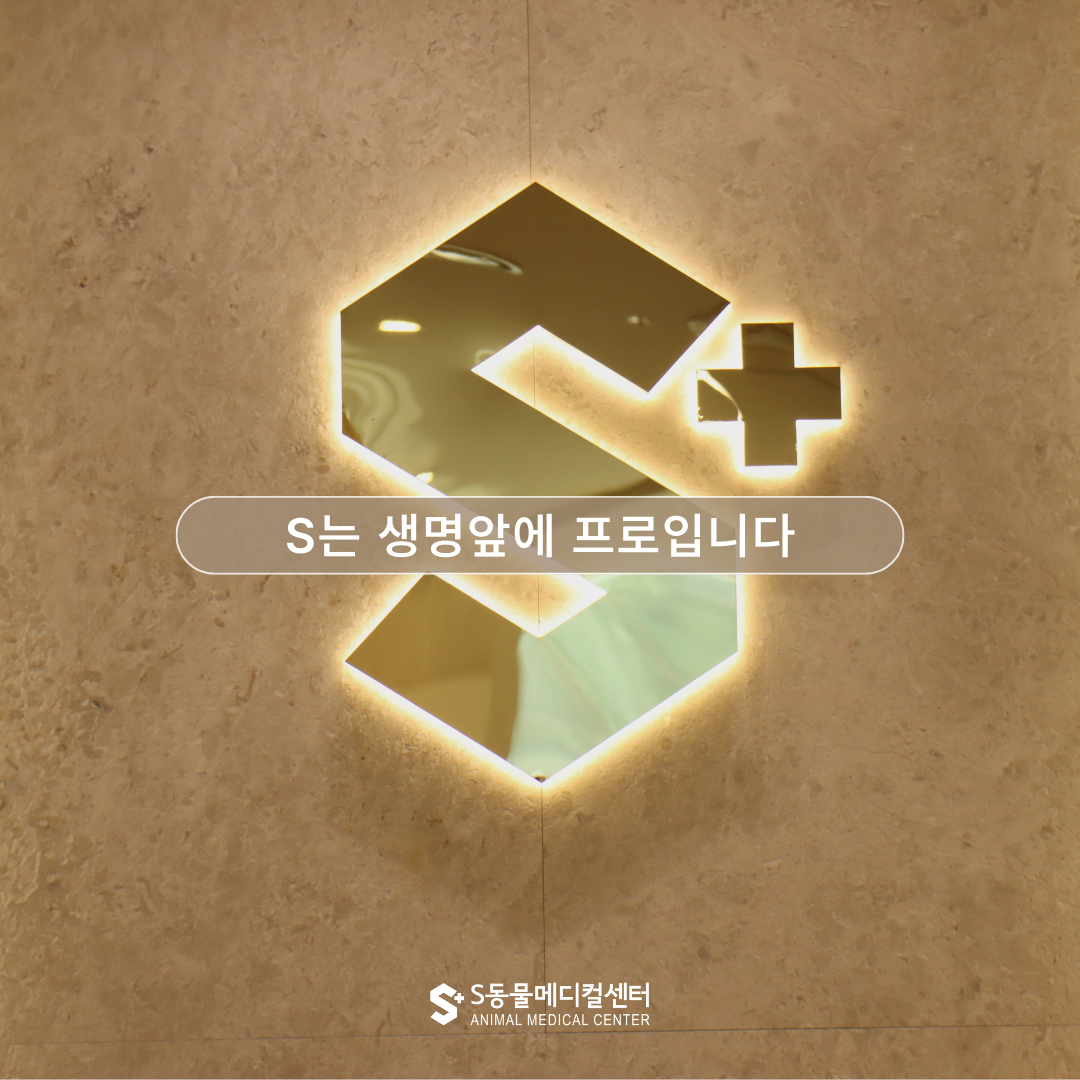 울산에스동물메디컬센터