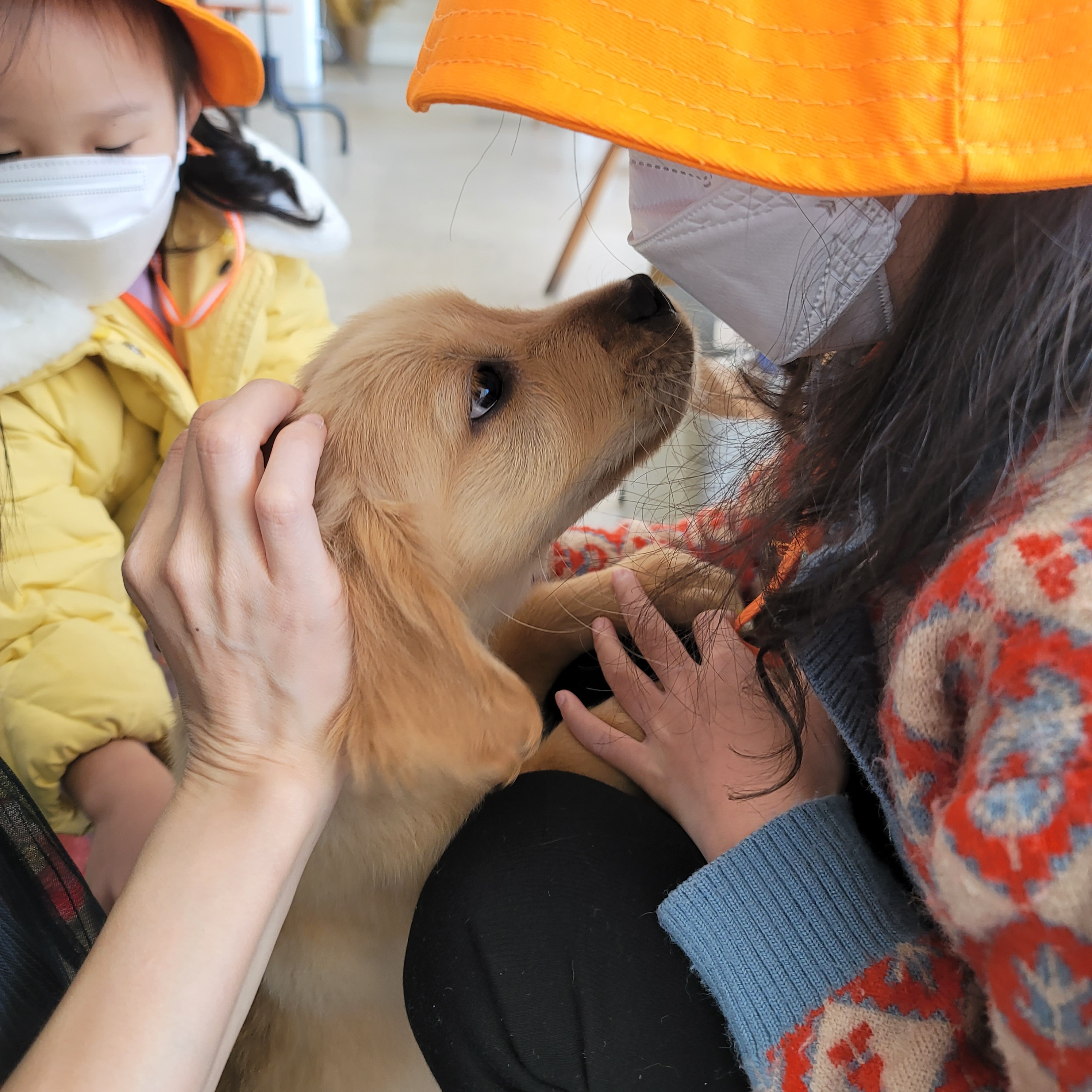 신성의 숲 대표 이미지