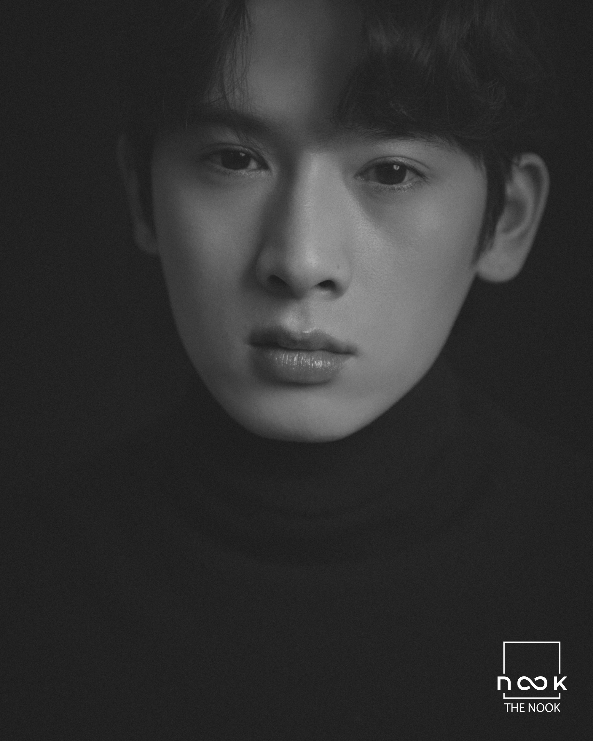 더 누크 대표 이미지