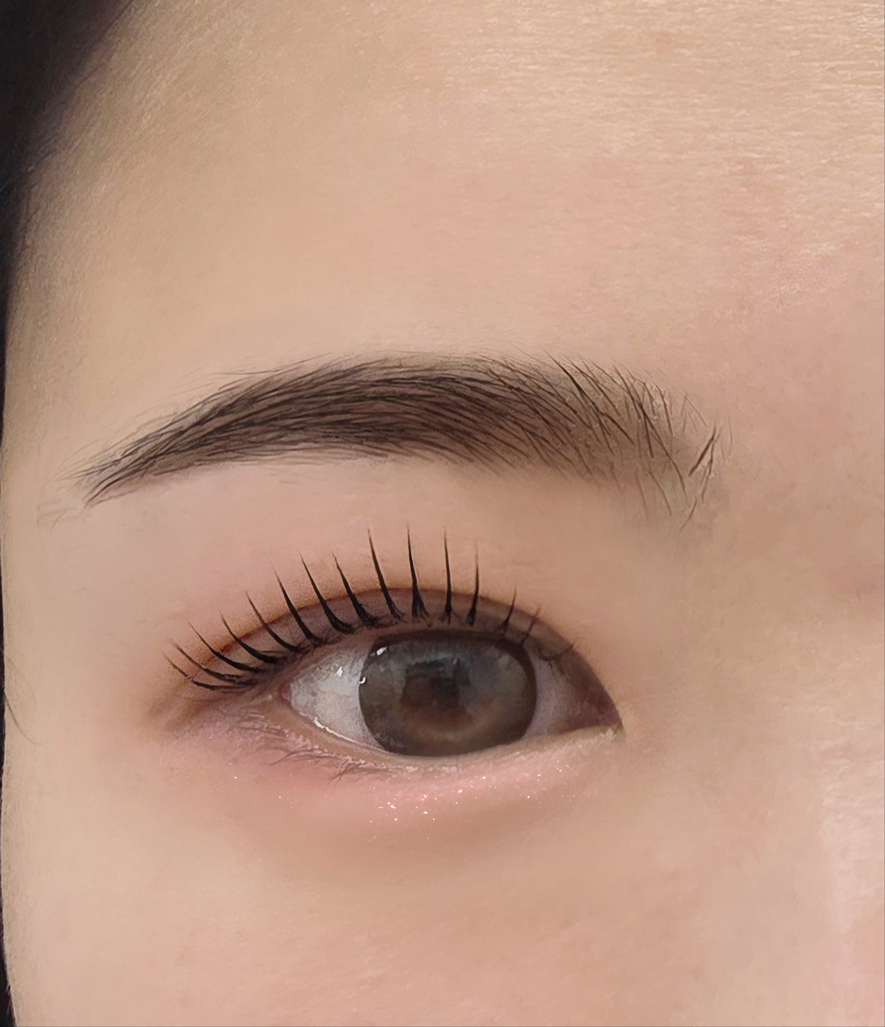 봉자속눈썹 대표 이미지