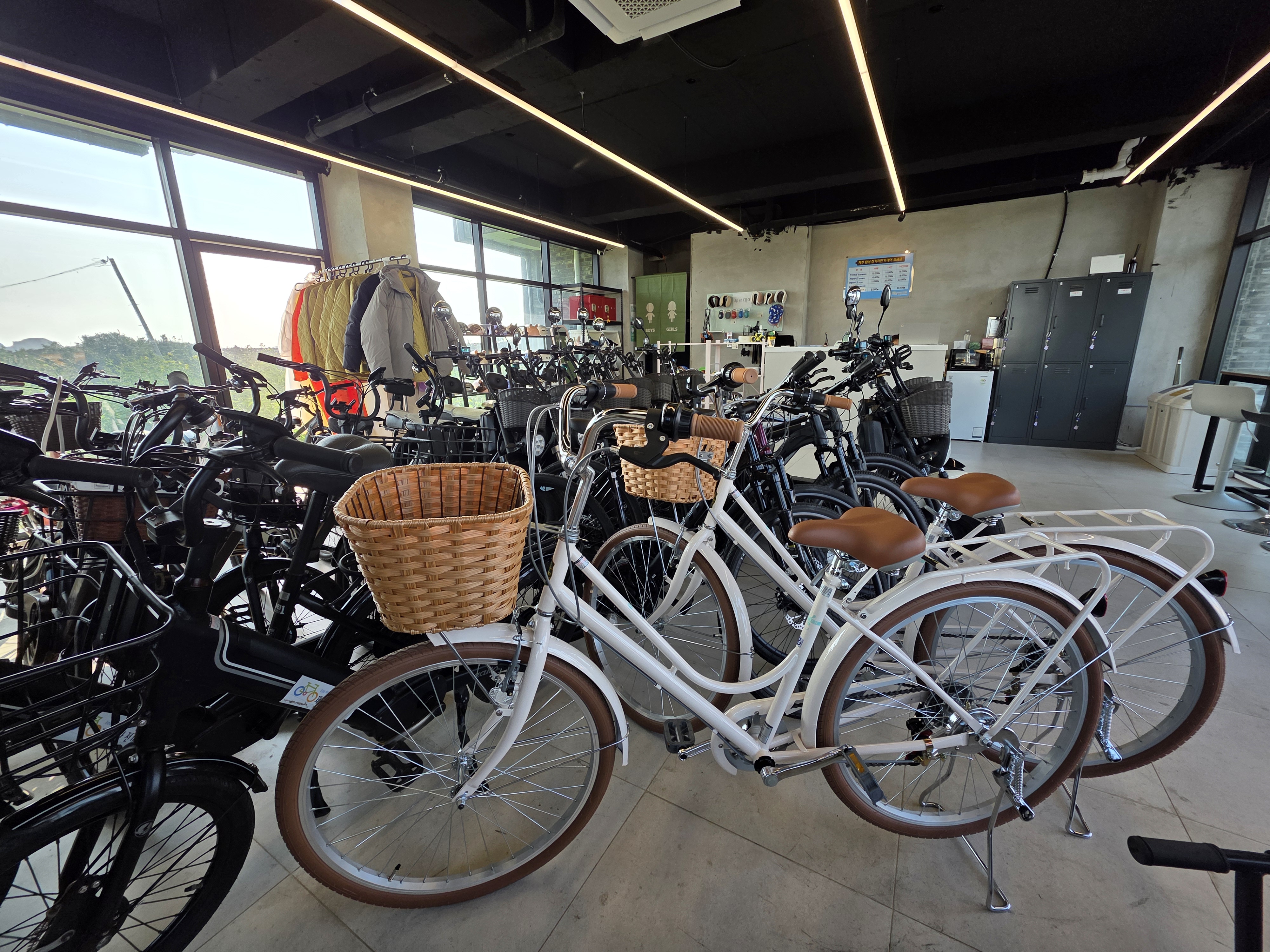 제주환상전기자전거 대표 이미지