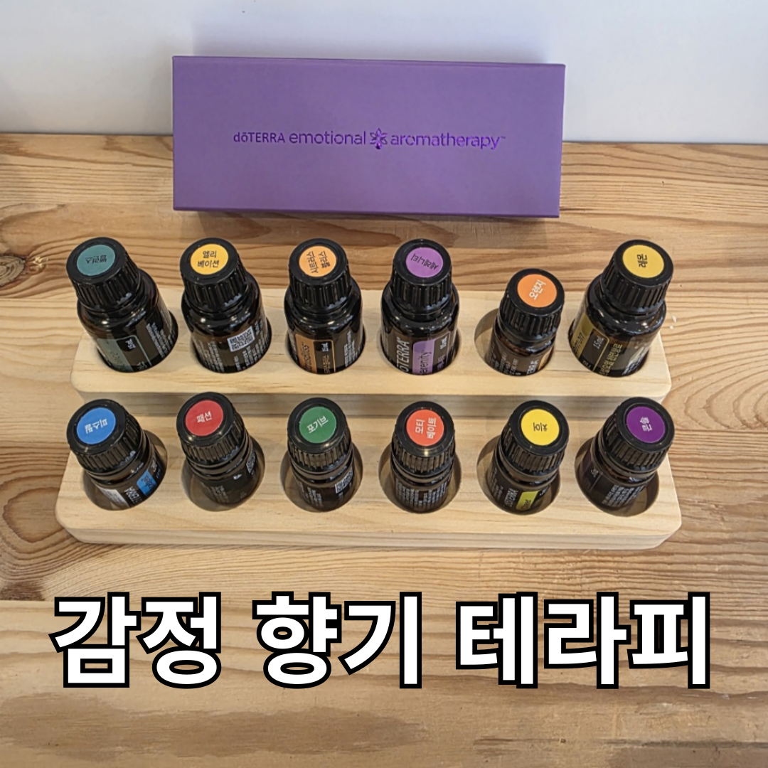 도수명가 마사지 김포운양점 photo 4