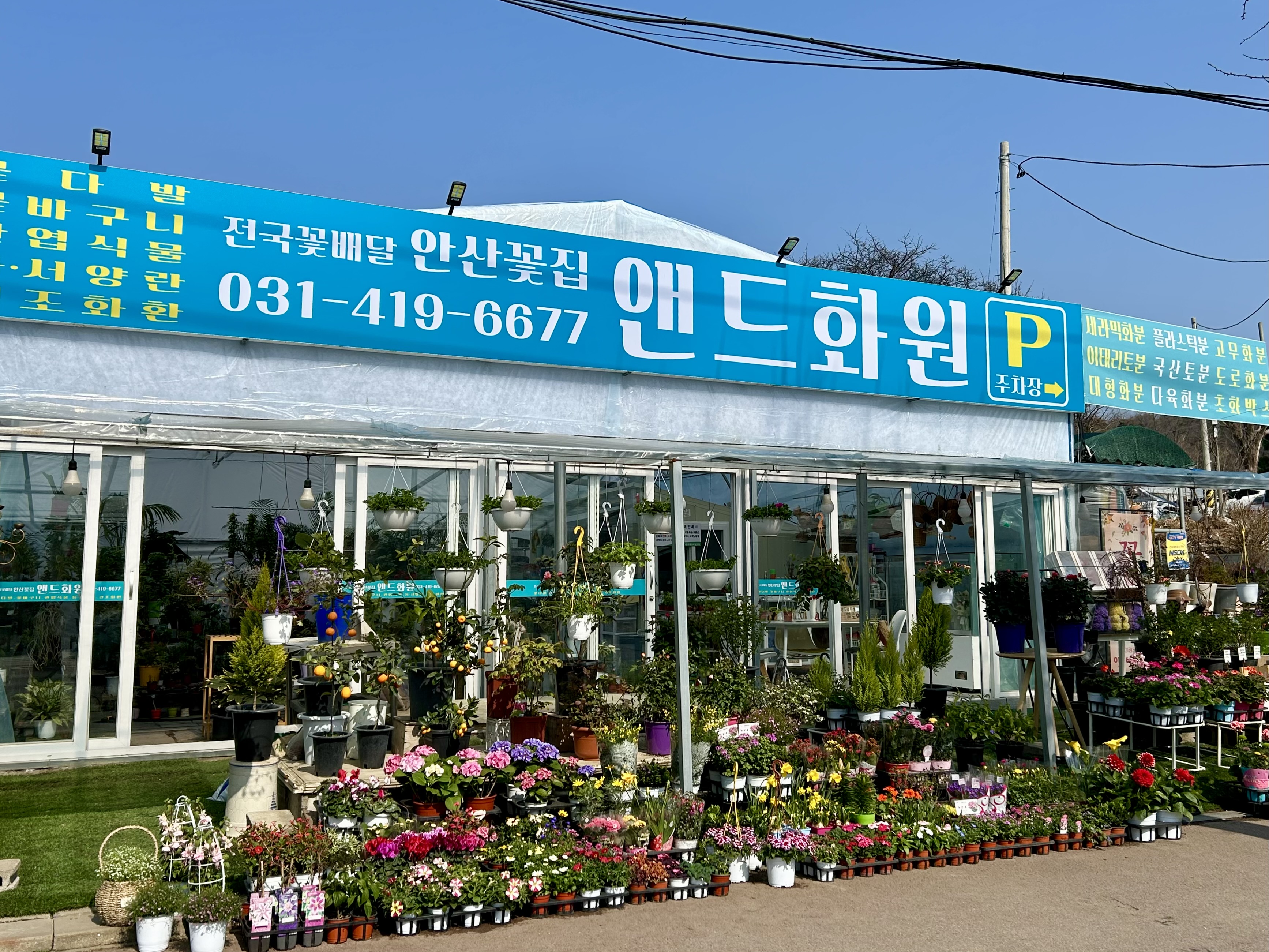 안산꽃집 앤드화원