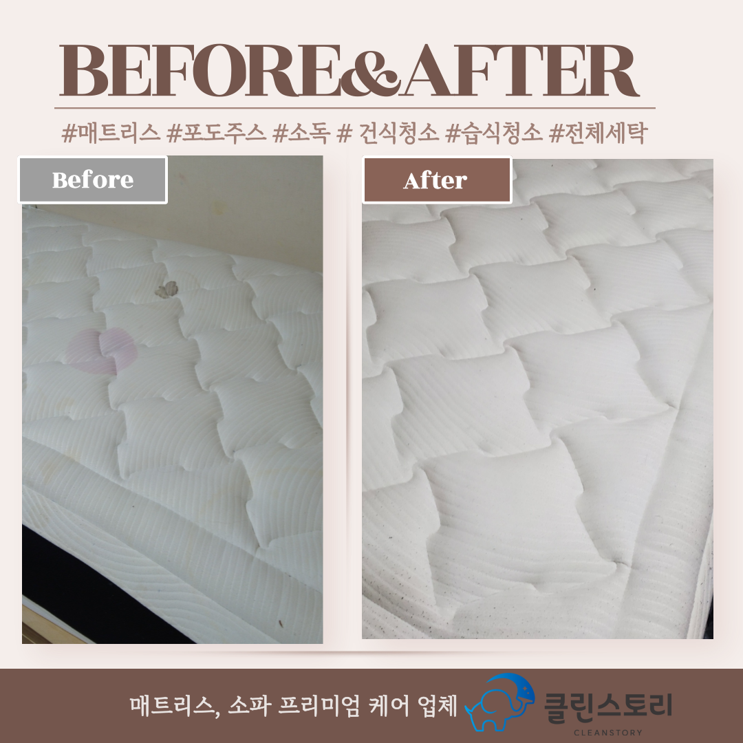 클린스토리