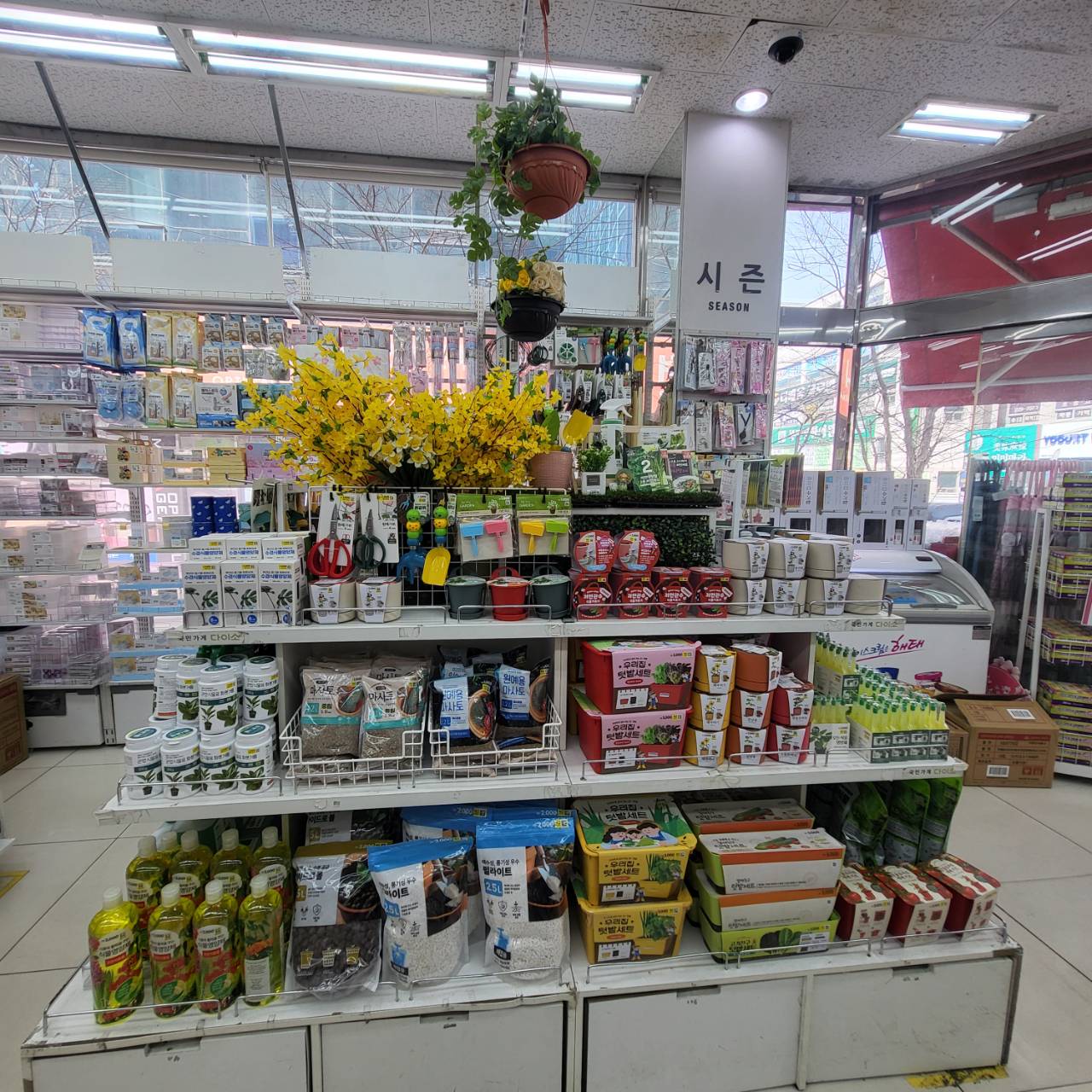 다이소 전주평화점