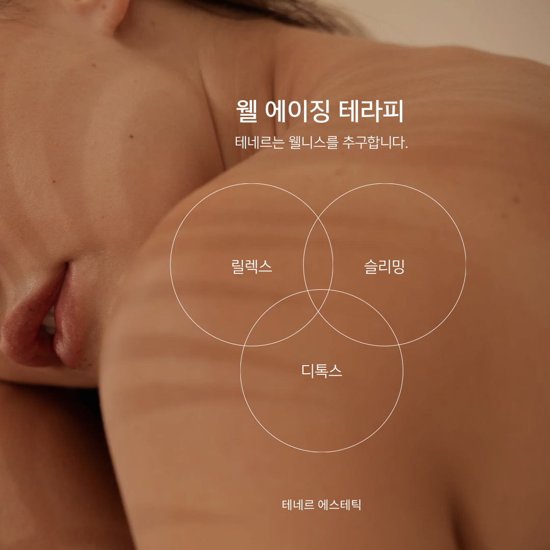 테네르 에스테틱