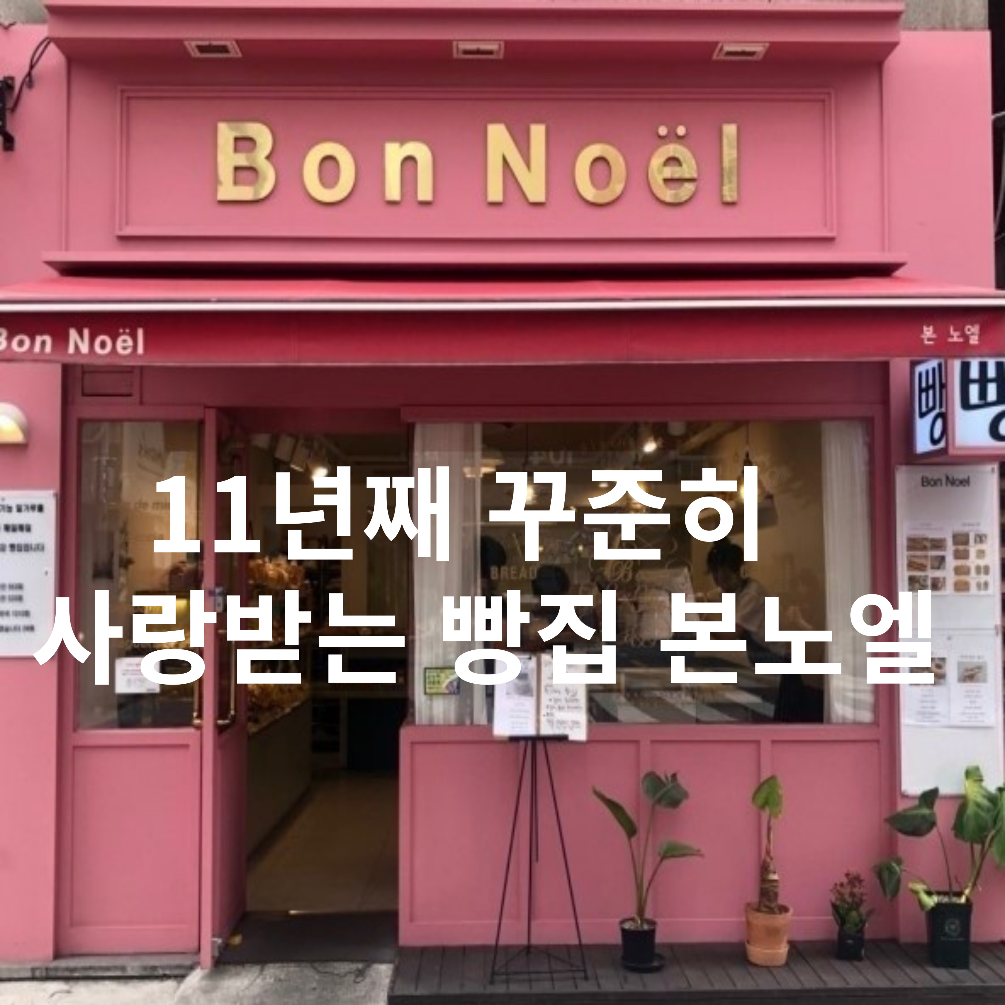 본노엘 성수점