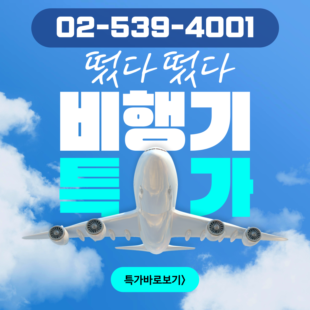 수현항공여행사