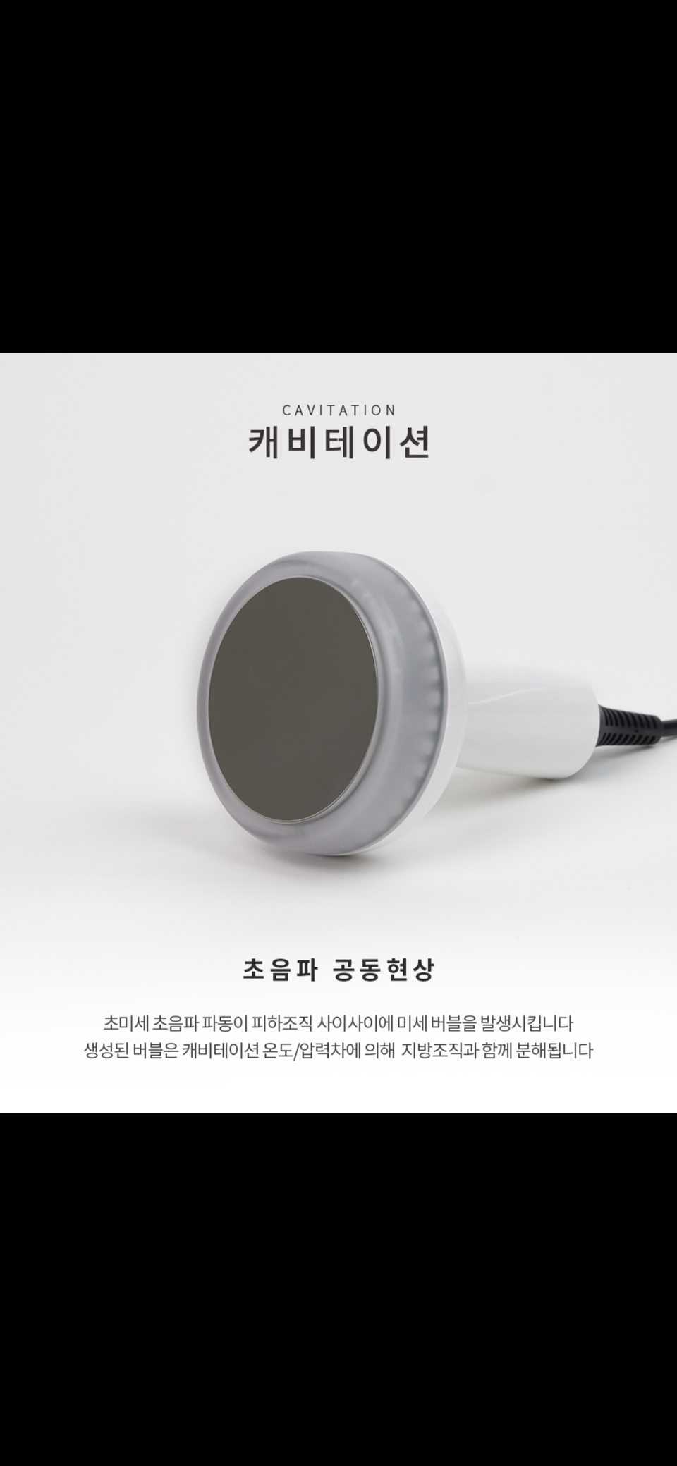 비비드설렘 대표 이미지
