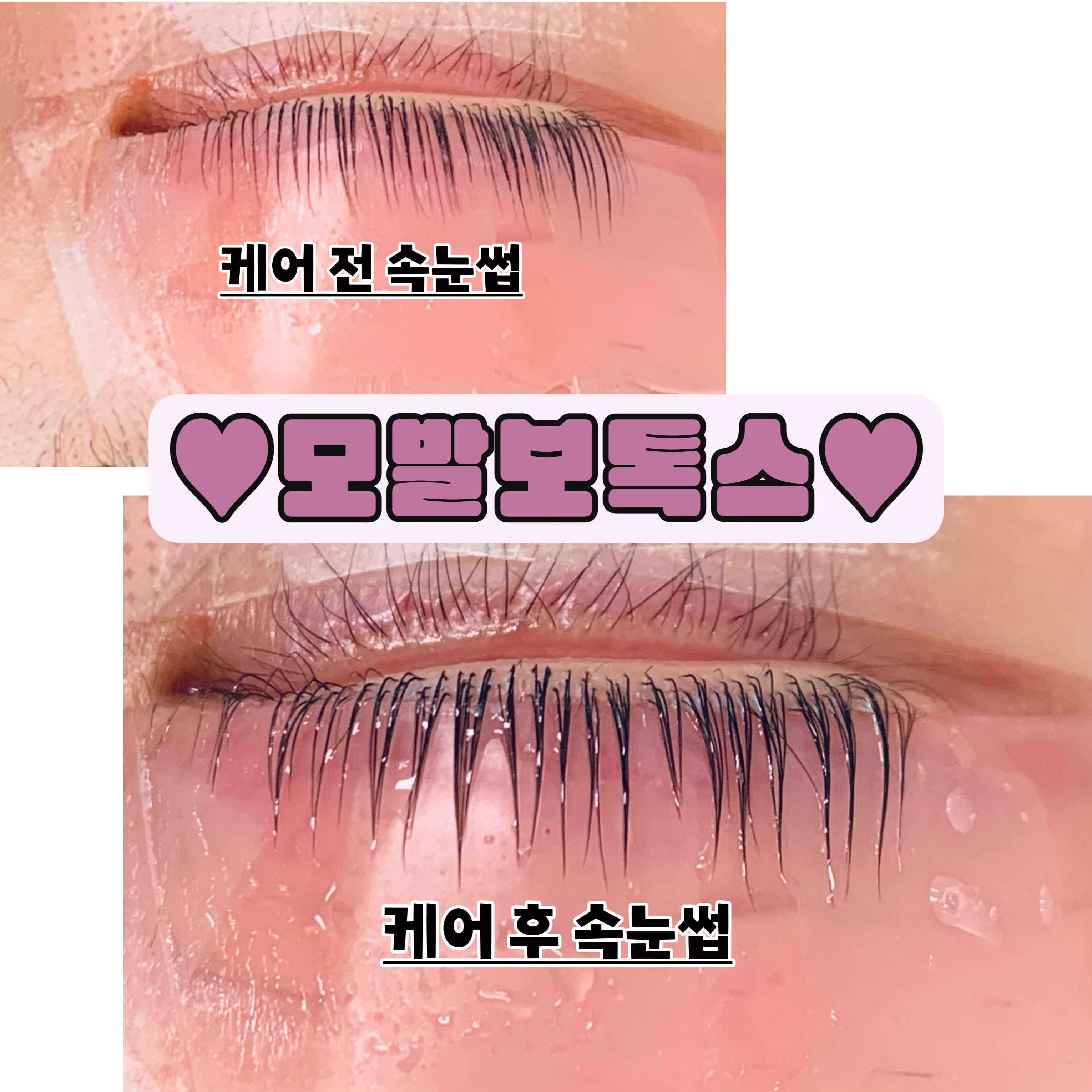메이든뷰티