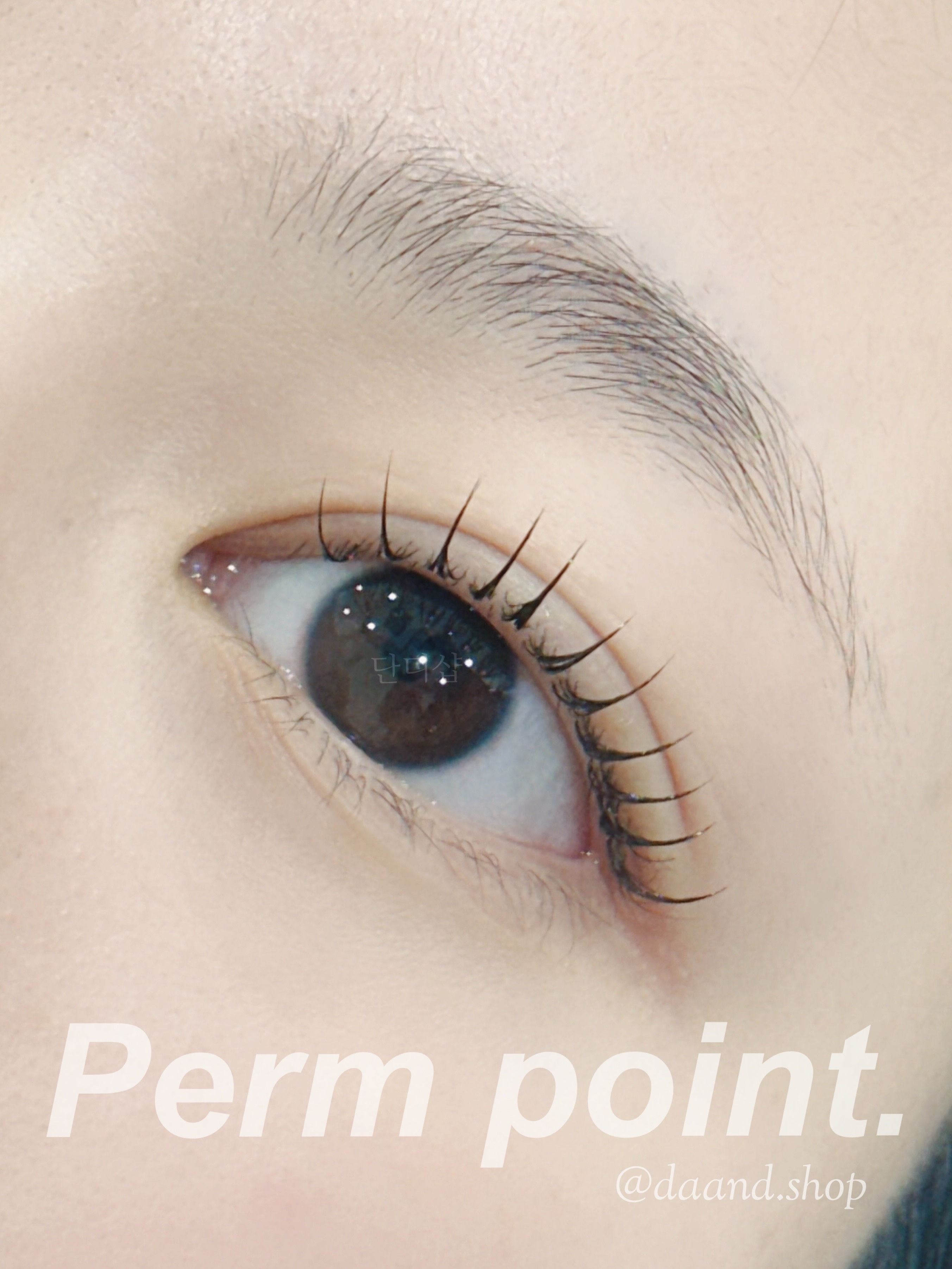 단디샵 혜화본점 대표 이미지