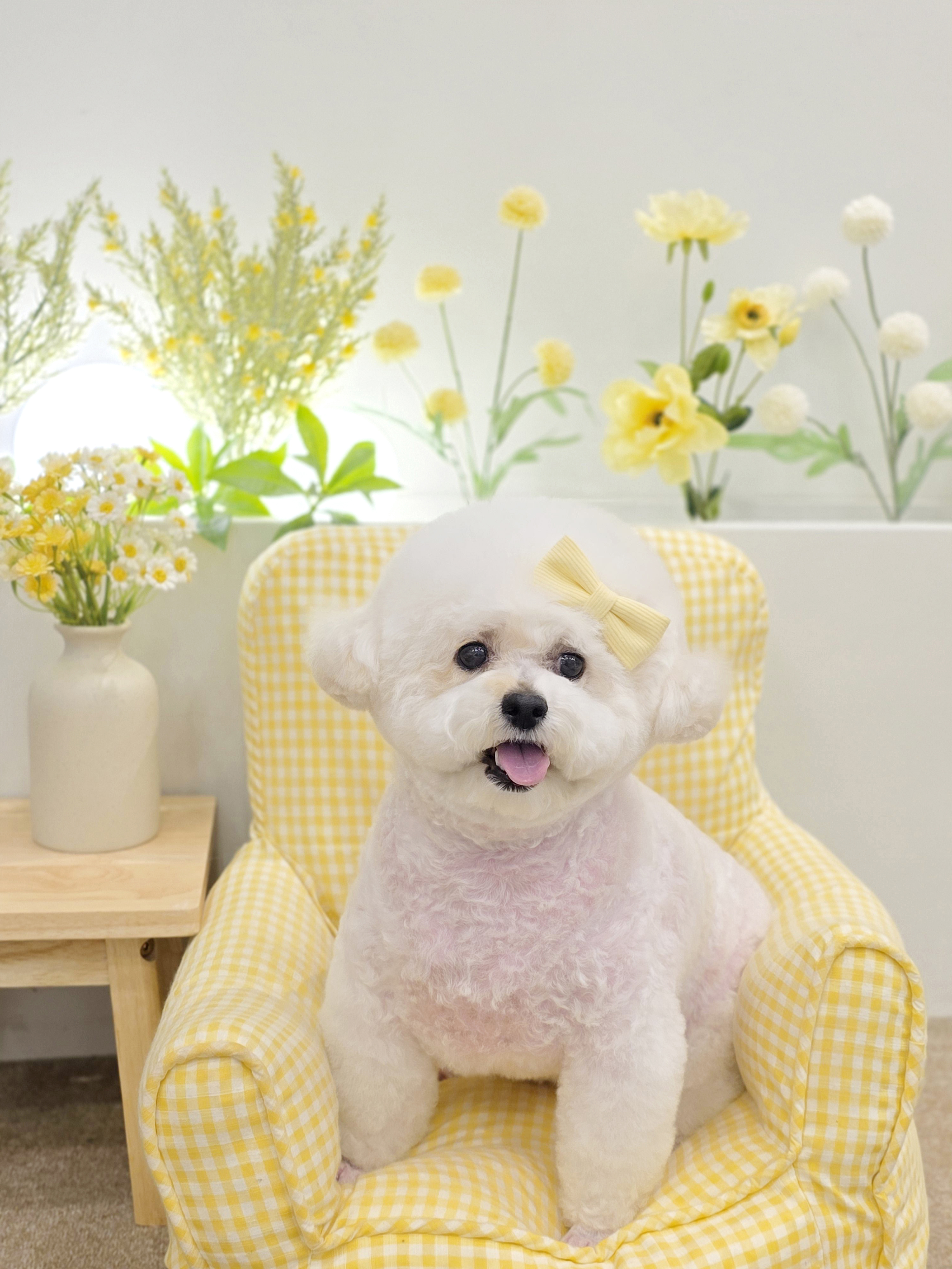 몽트리 대표 이미지