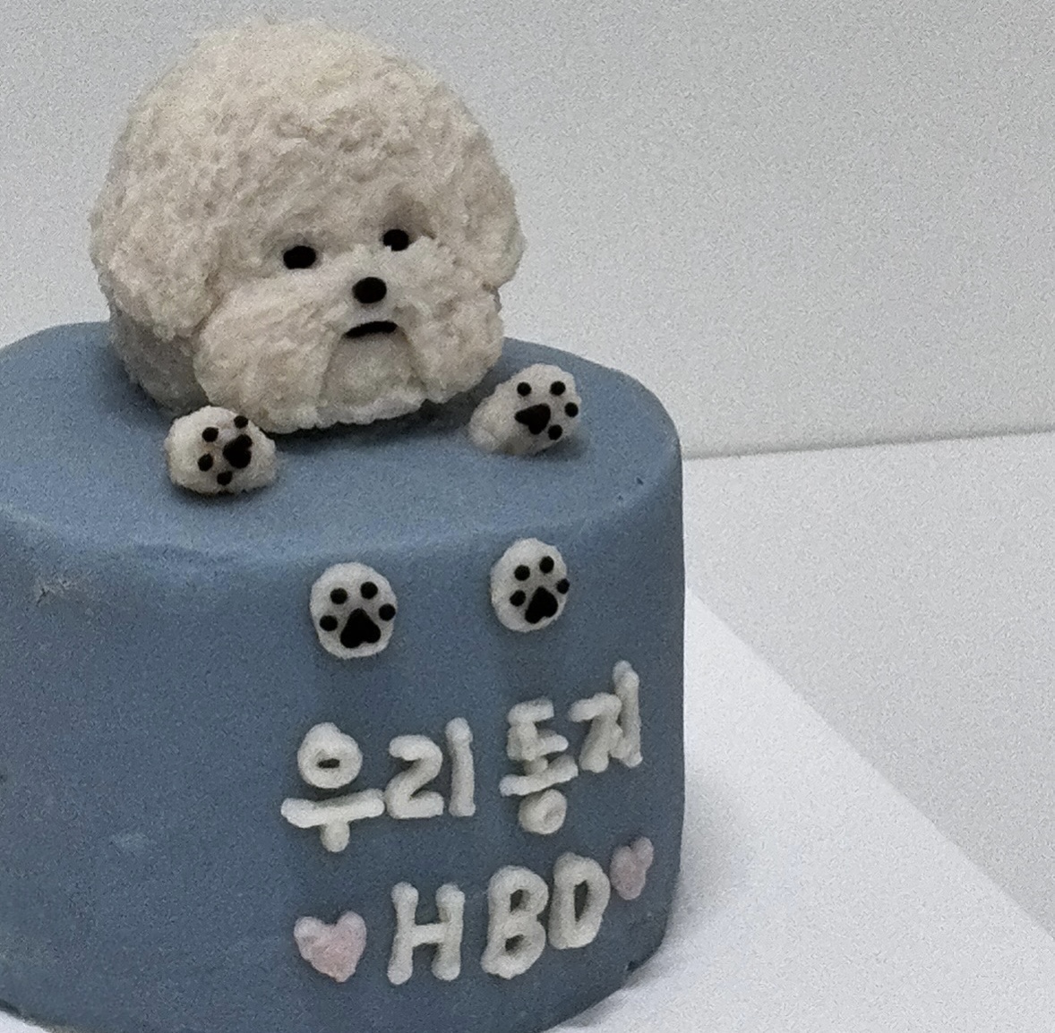 해피벌스댕댕