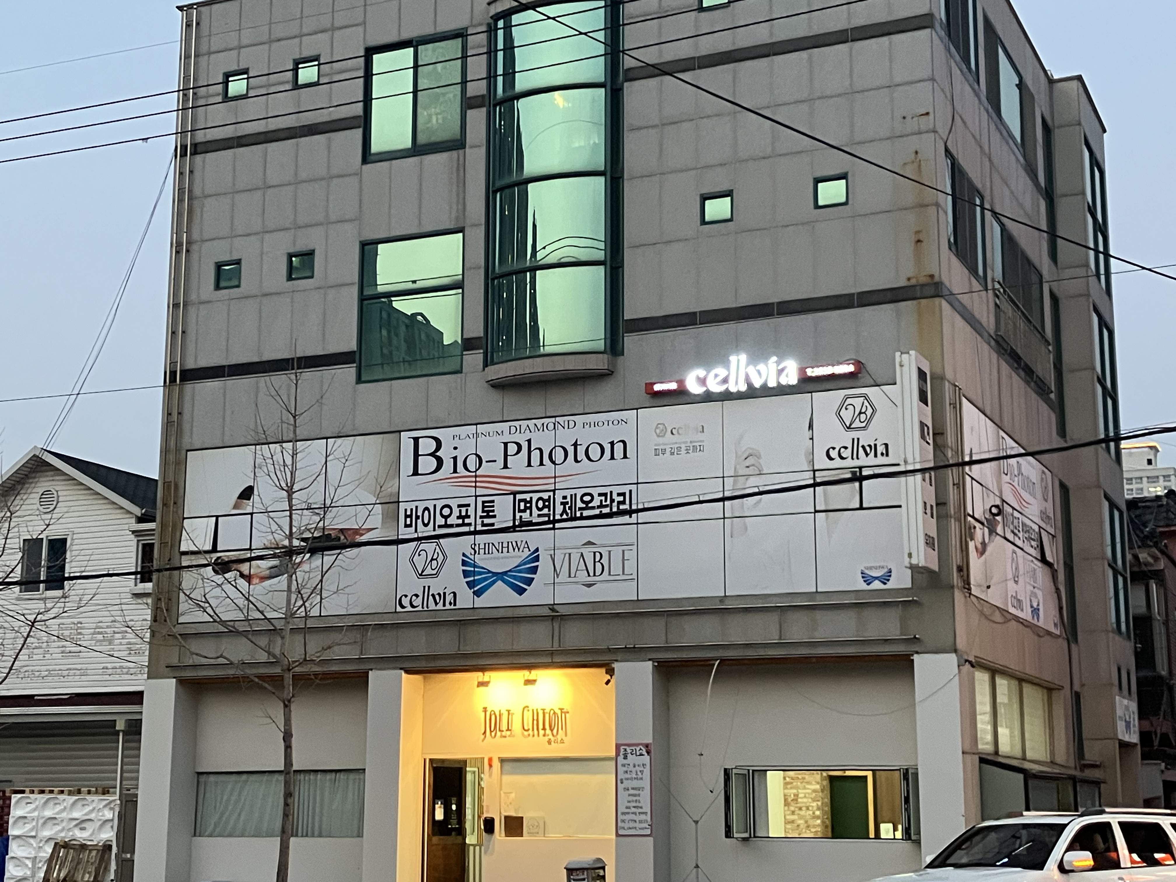 셀비아