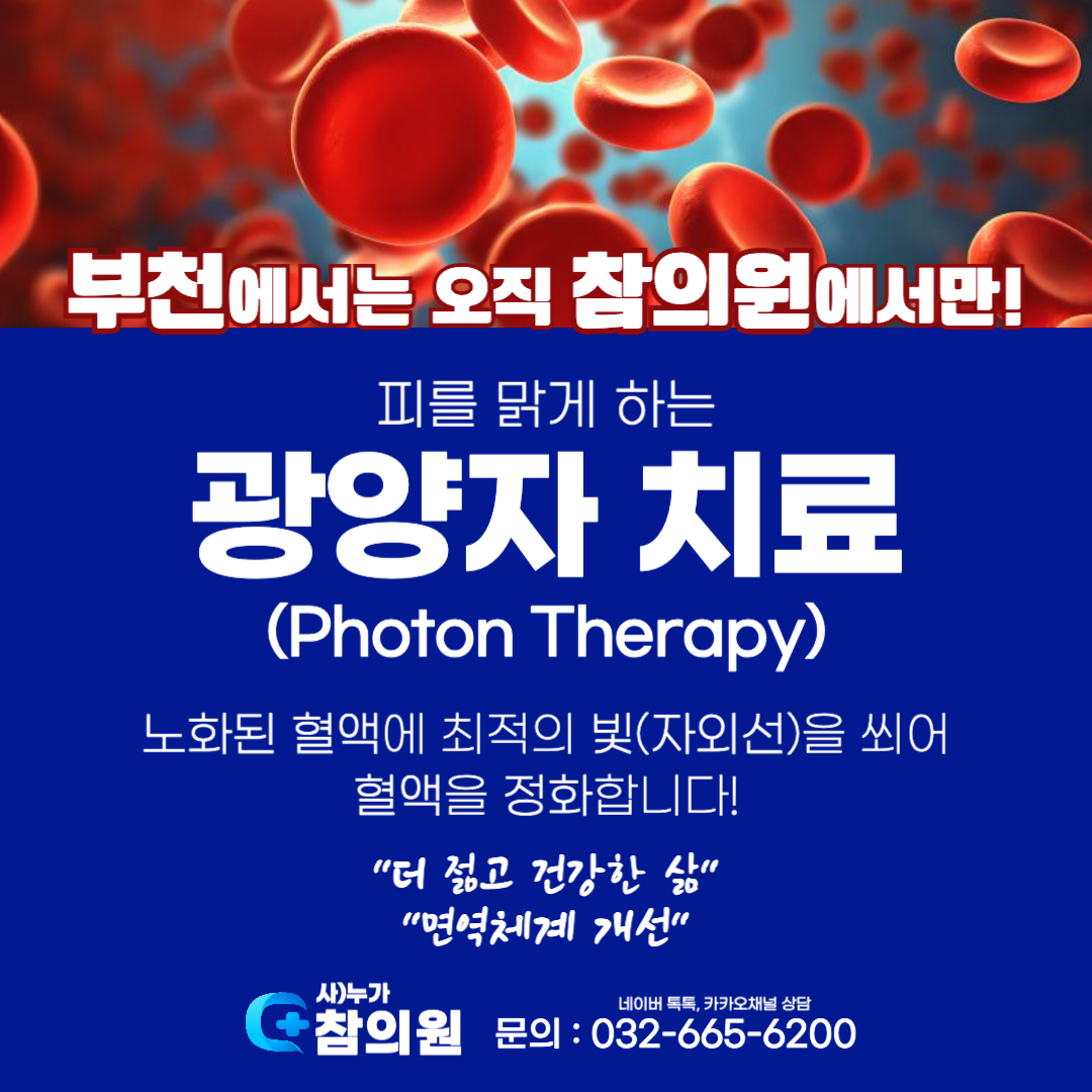 누가참의원