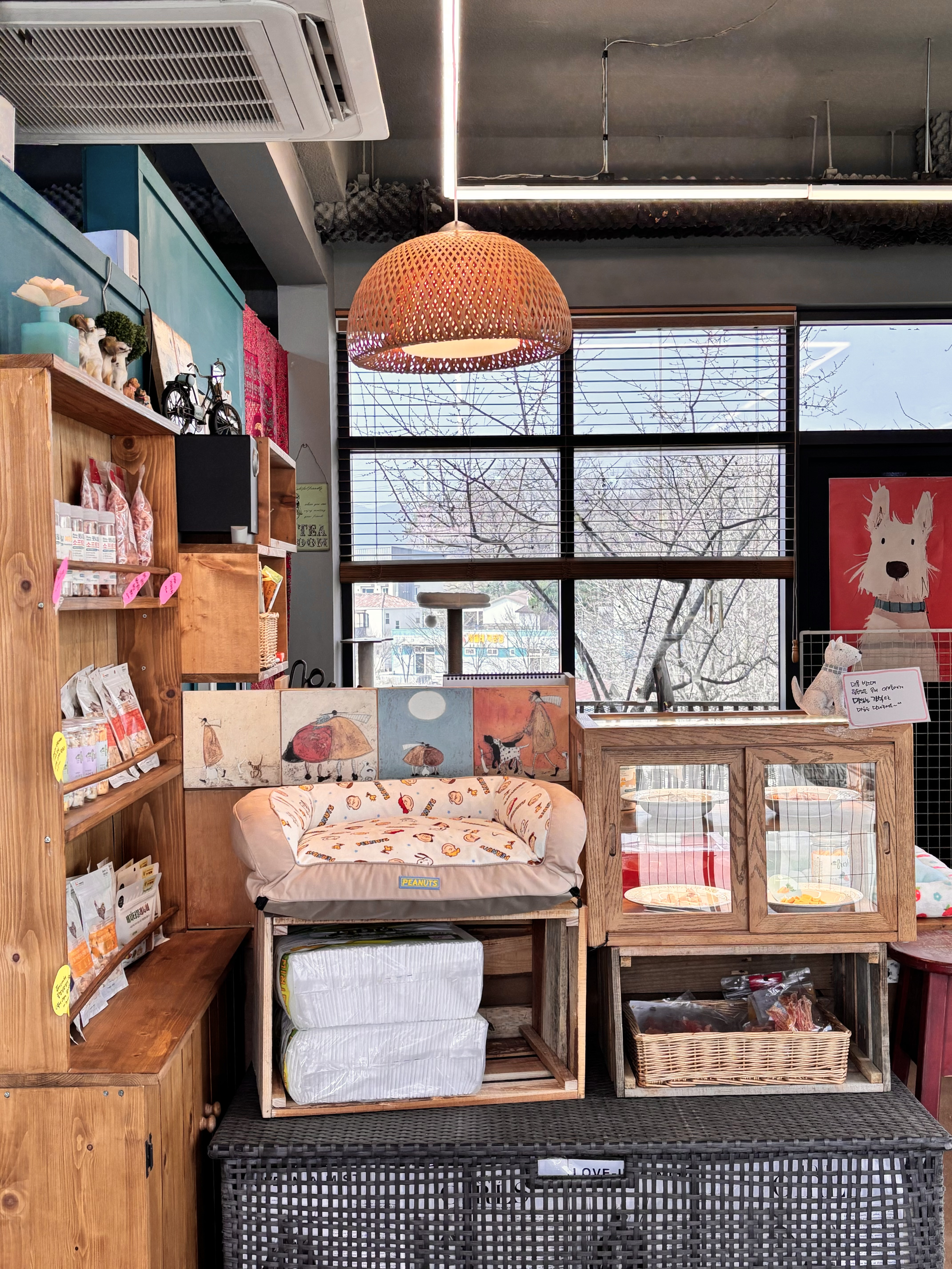 단비애견 대표 이미지