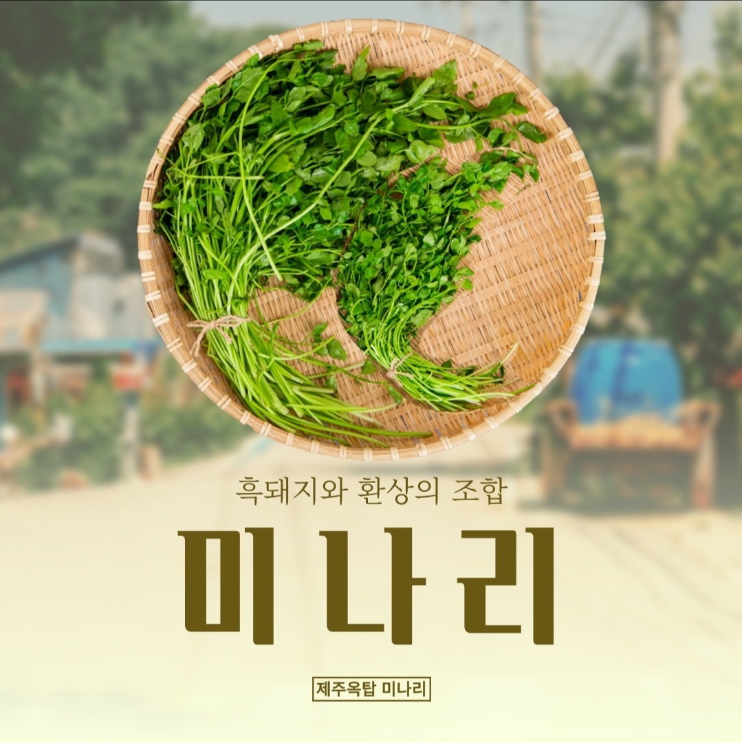 제주옥탑 부산시청점 설명사진