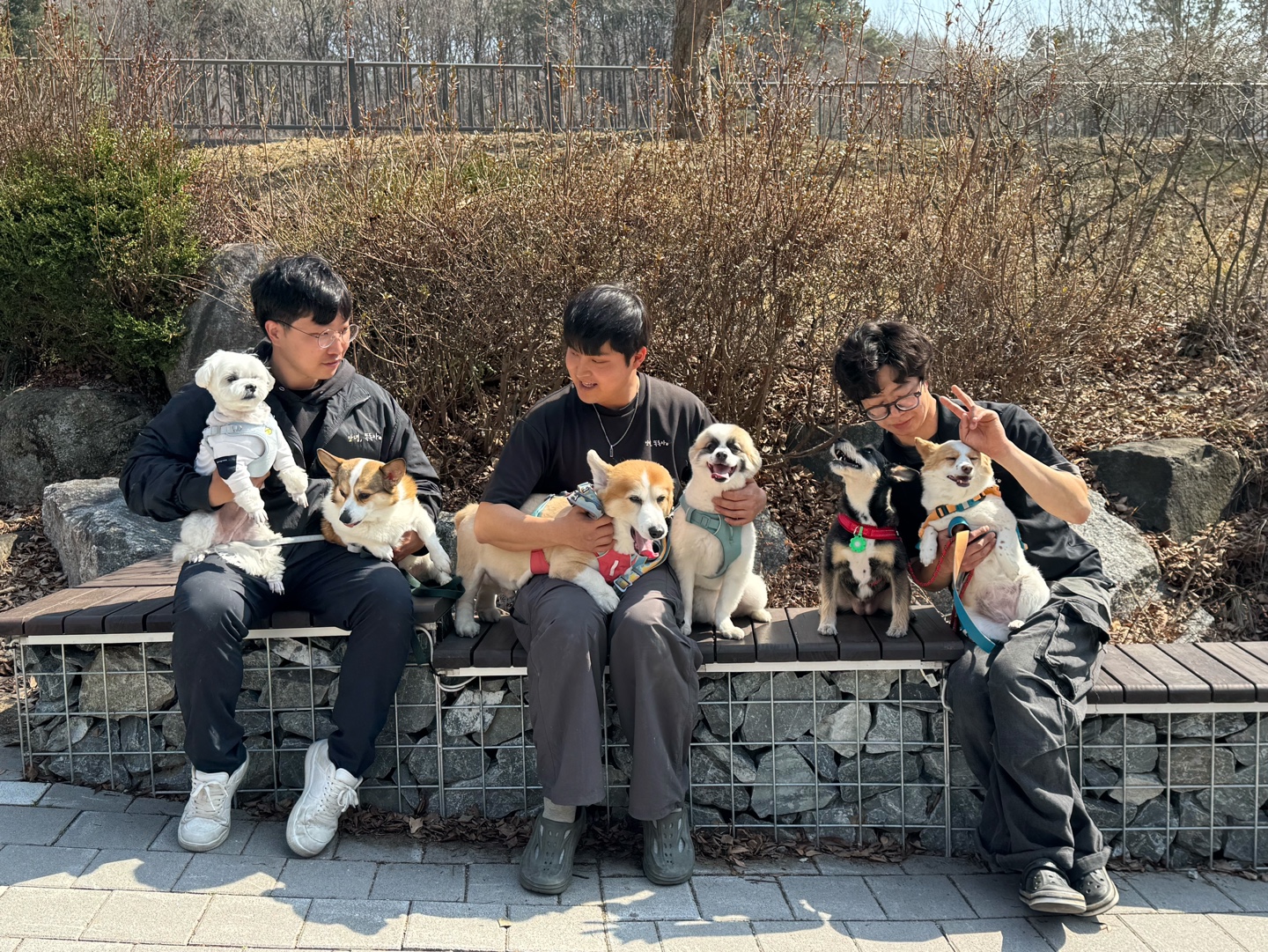 안녕똑독아소형견유치원호텔 대표 이미지