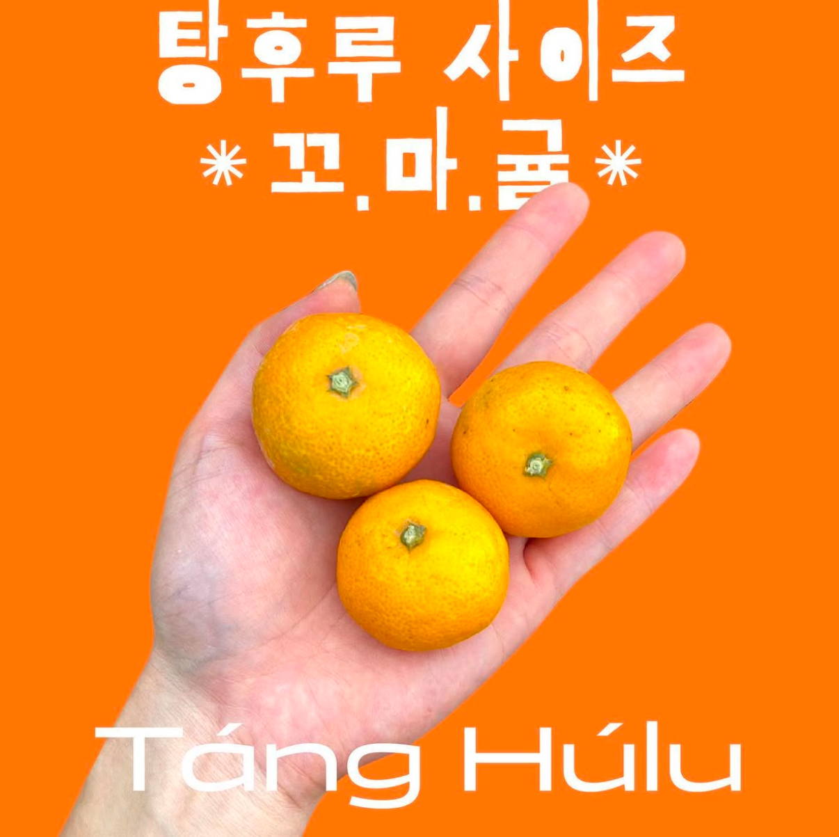 오오엔제주