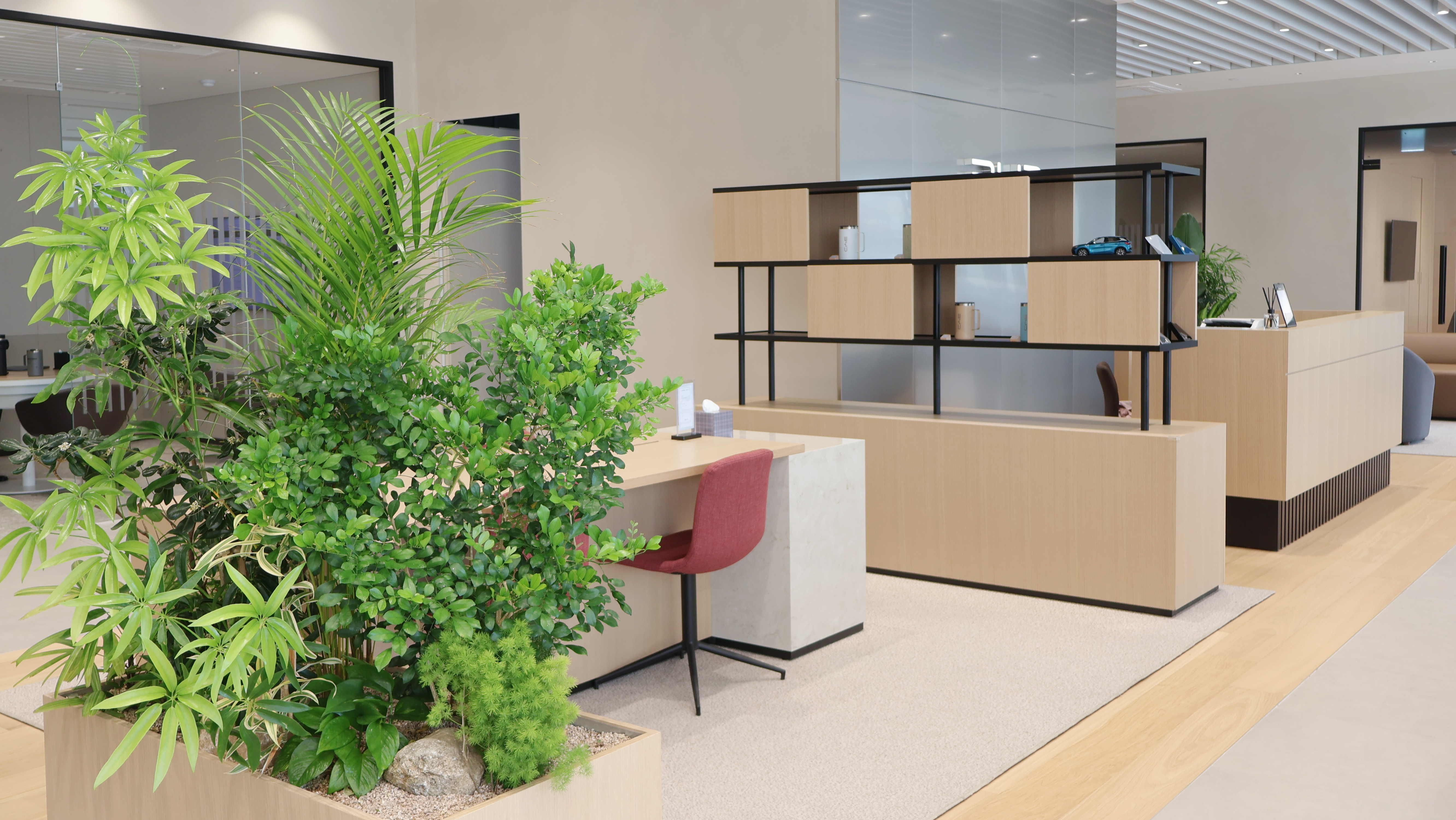 BYD 대전전시장 이미지