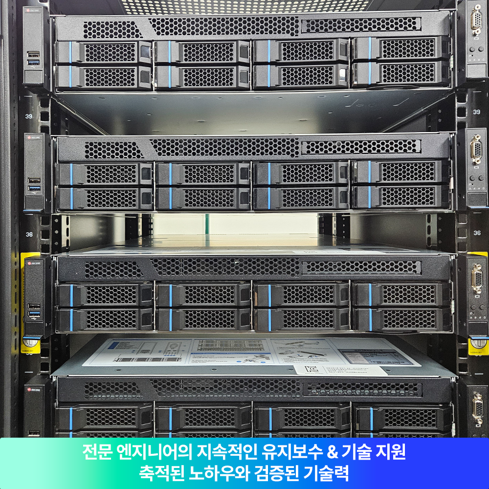 디에스티
