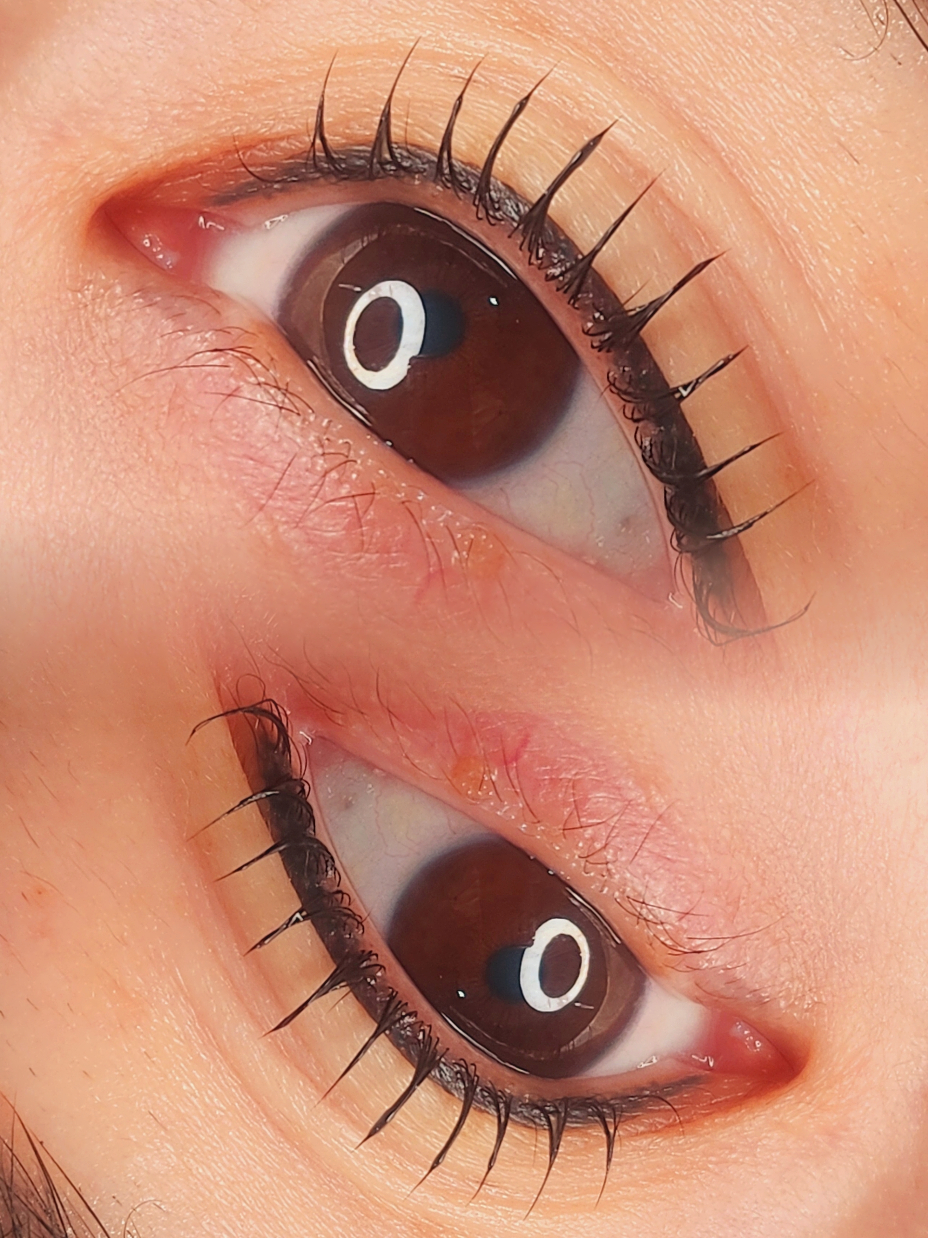 바비디뷰티 대표 이미지