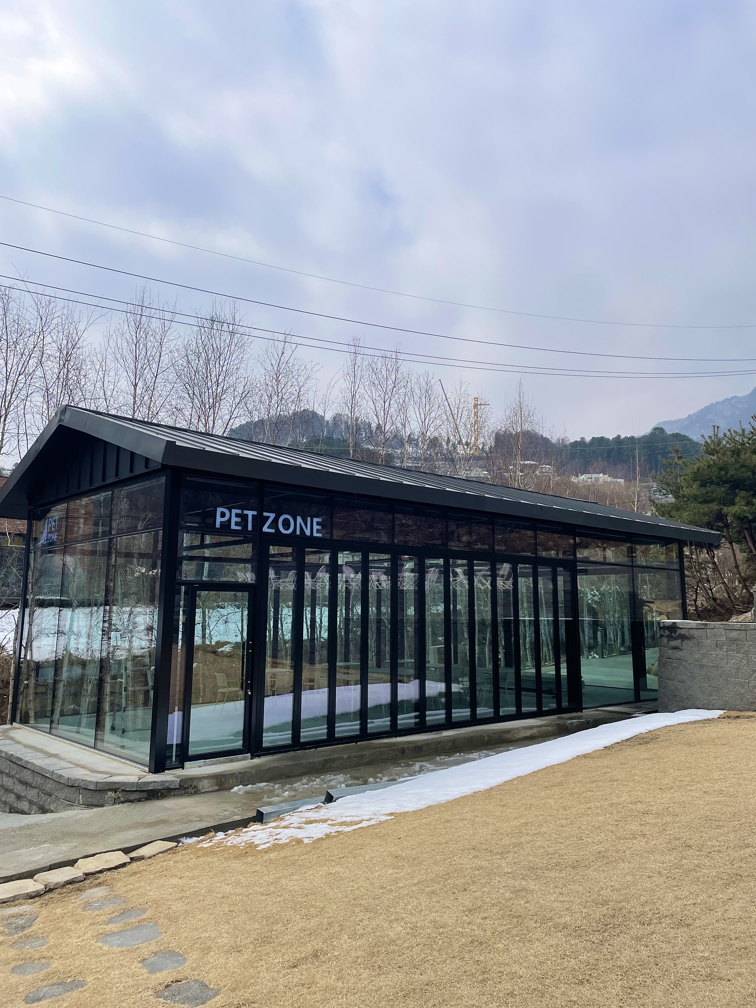 모아이카페 대표 이미지 (넓은 잔디밭과 모아이 석상)