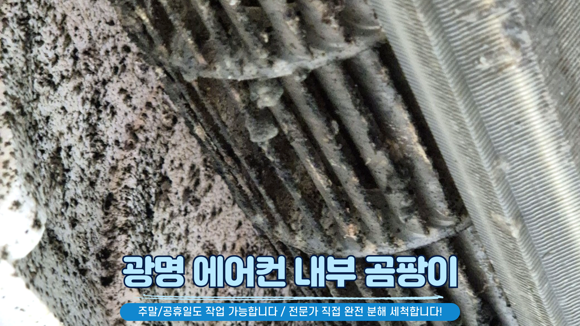 광명 에어컨청소 세탁기청소