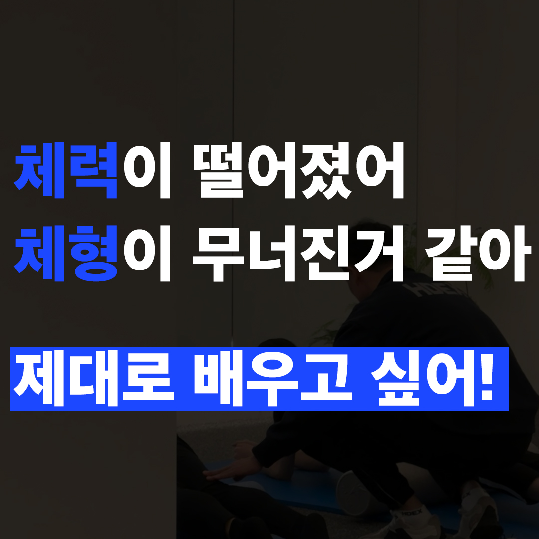 엑설라이프 노은PT