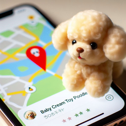 강가딘택시 대표 이미지