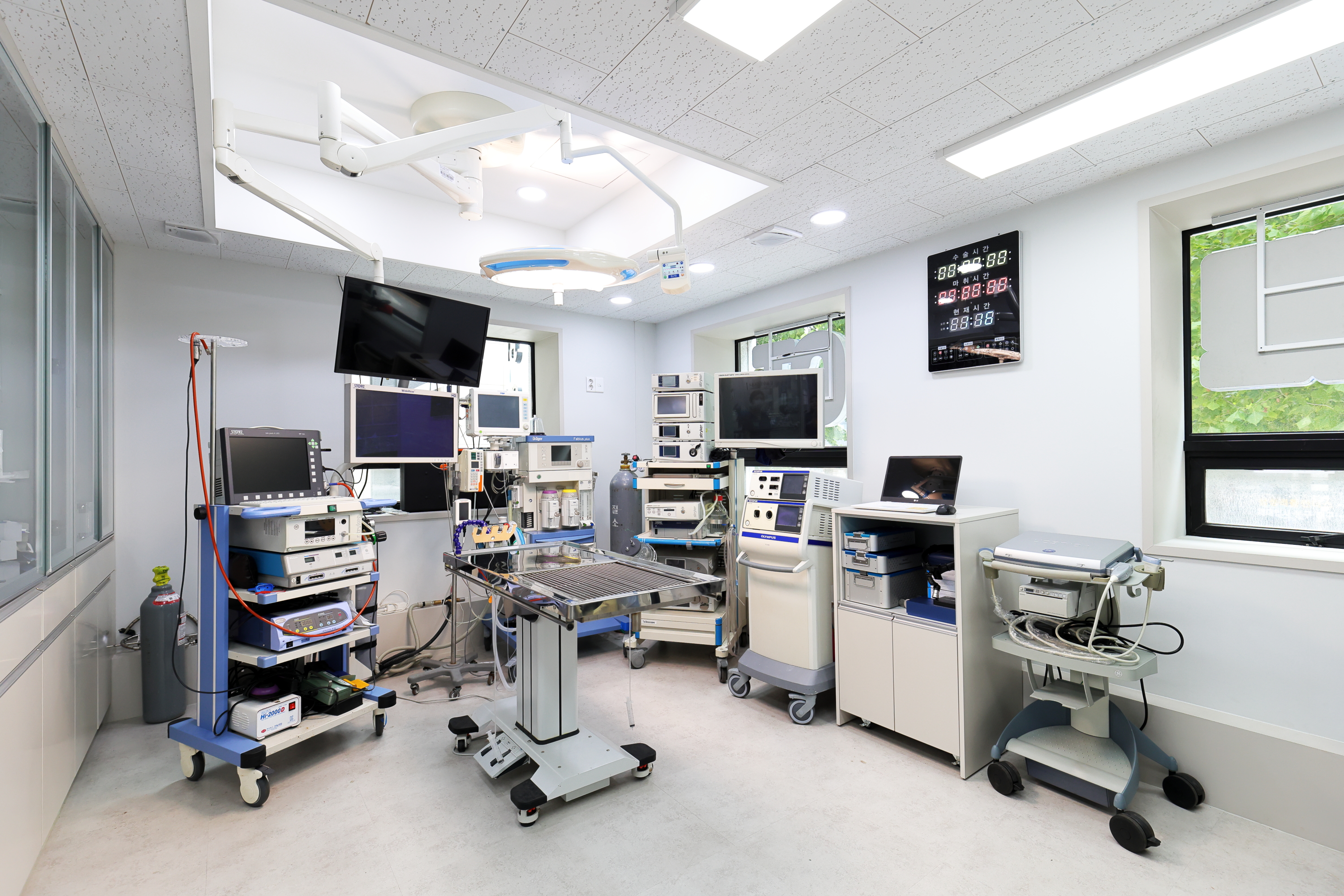 가디언 비뇨기 동물병원 대표 이미지