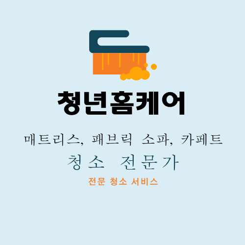 청년홈케어