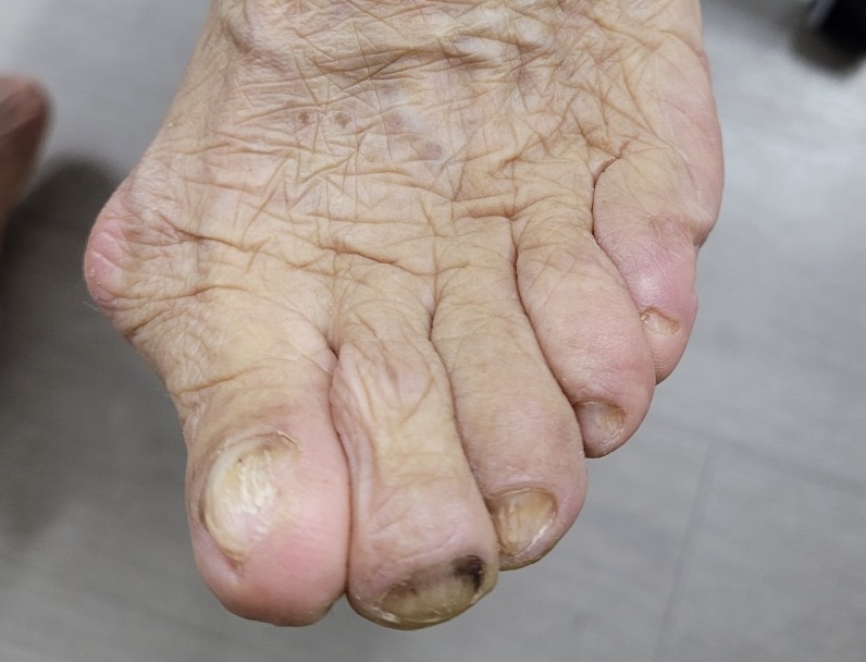 레푸스 진주대안점 대표 이미지