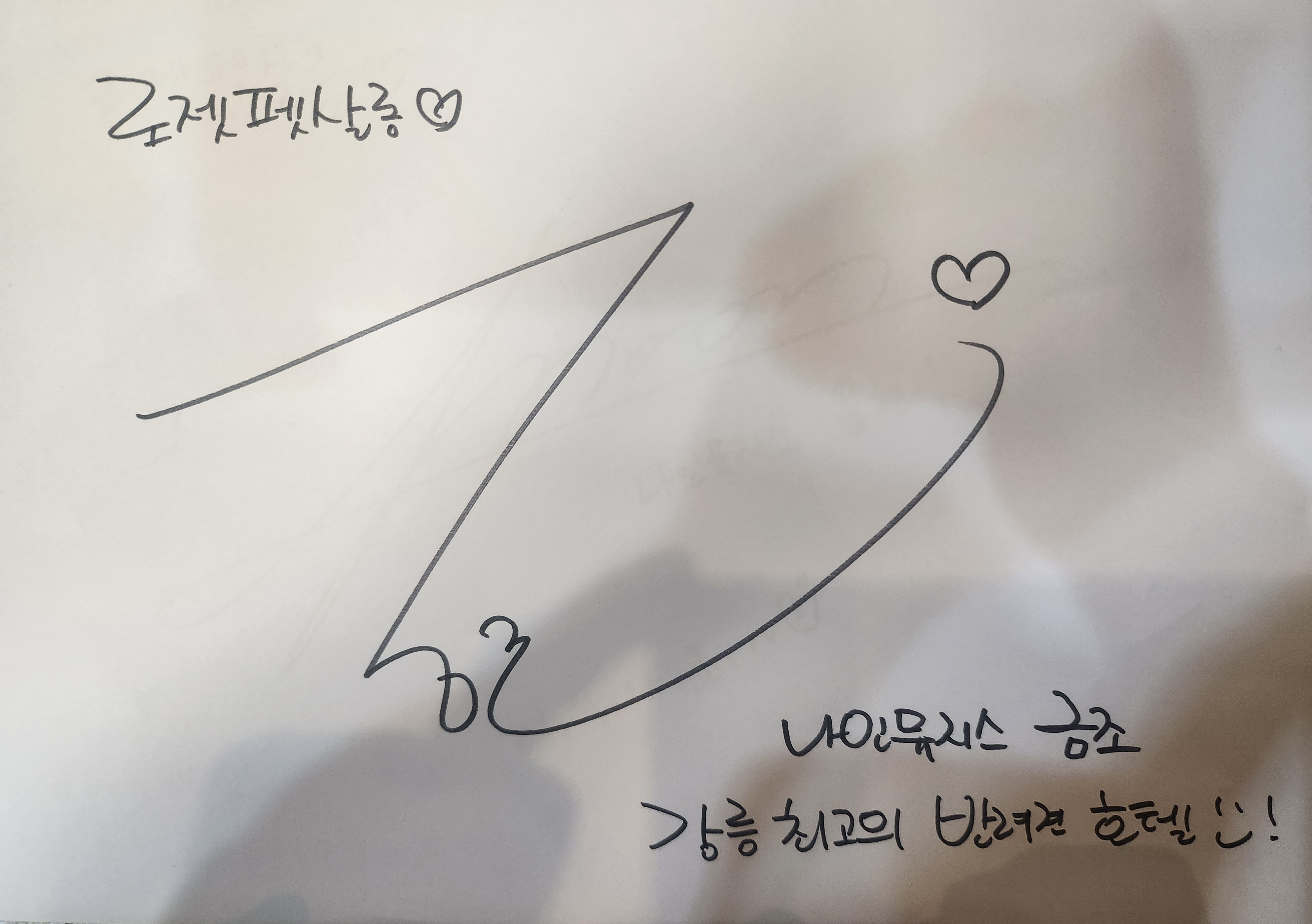 로젯펫살롱 대표 이미지