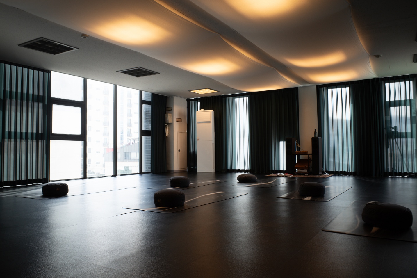 요가호랑이 대표 이미지