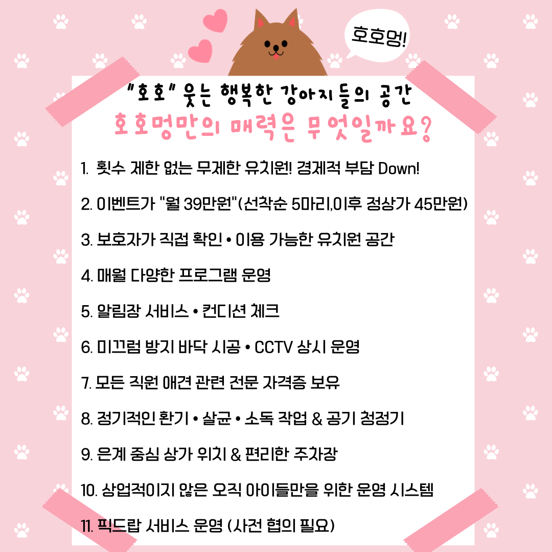 호호멍 애견유치원&카페 대표 이미지