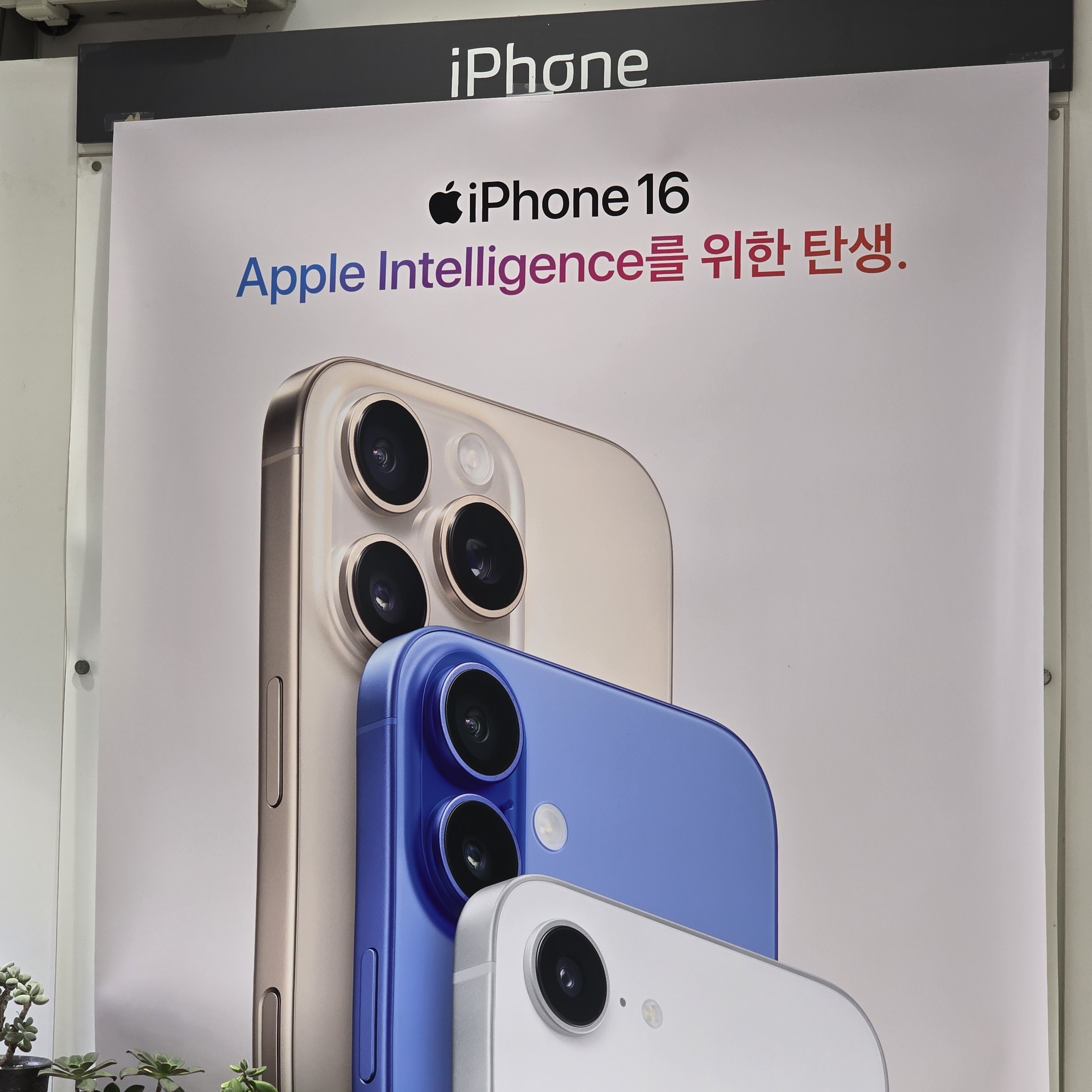 KT 장수올넷 장천로점
