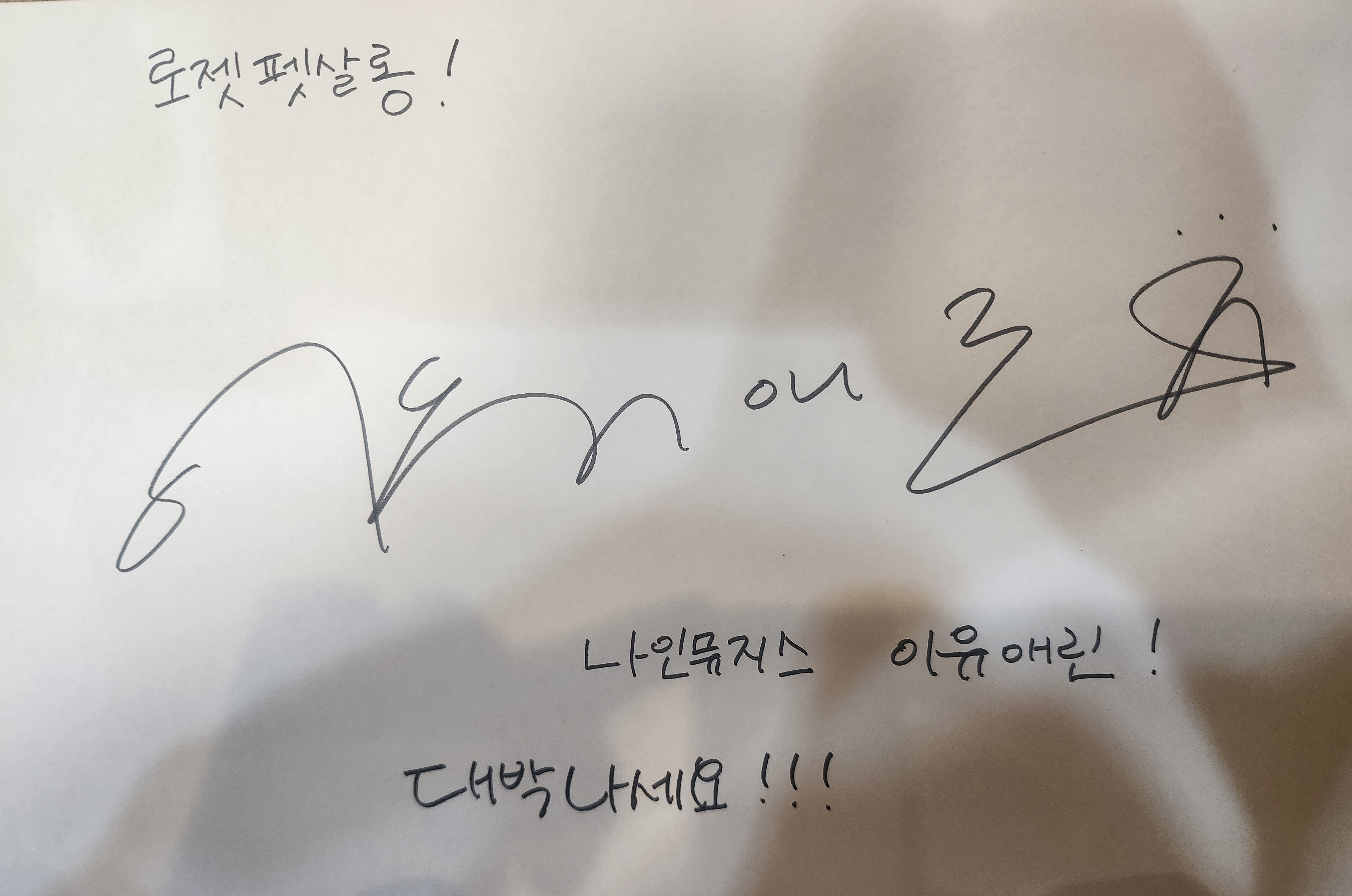 강릉 로젯펫살롱 대표 이미지