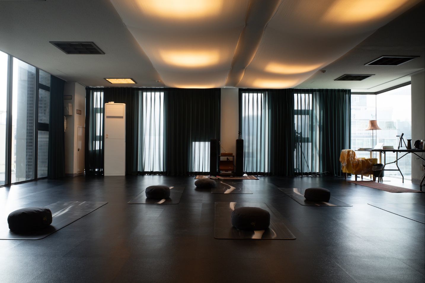 요가호랑이 대표 이미지