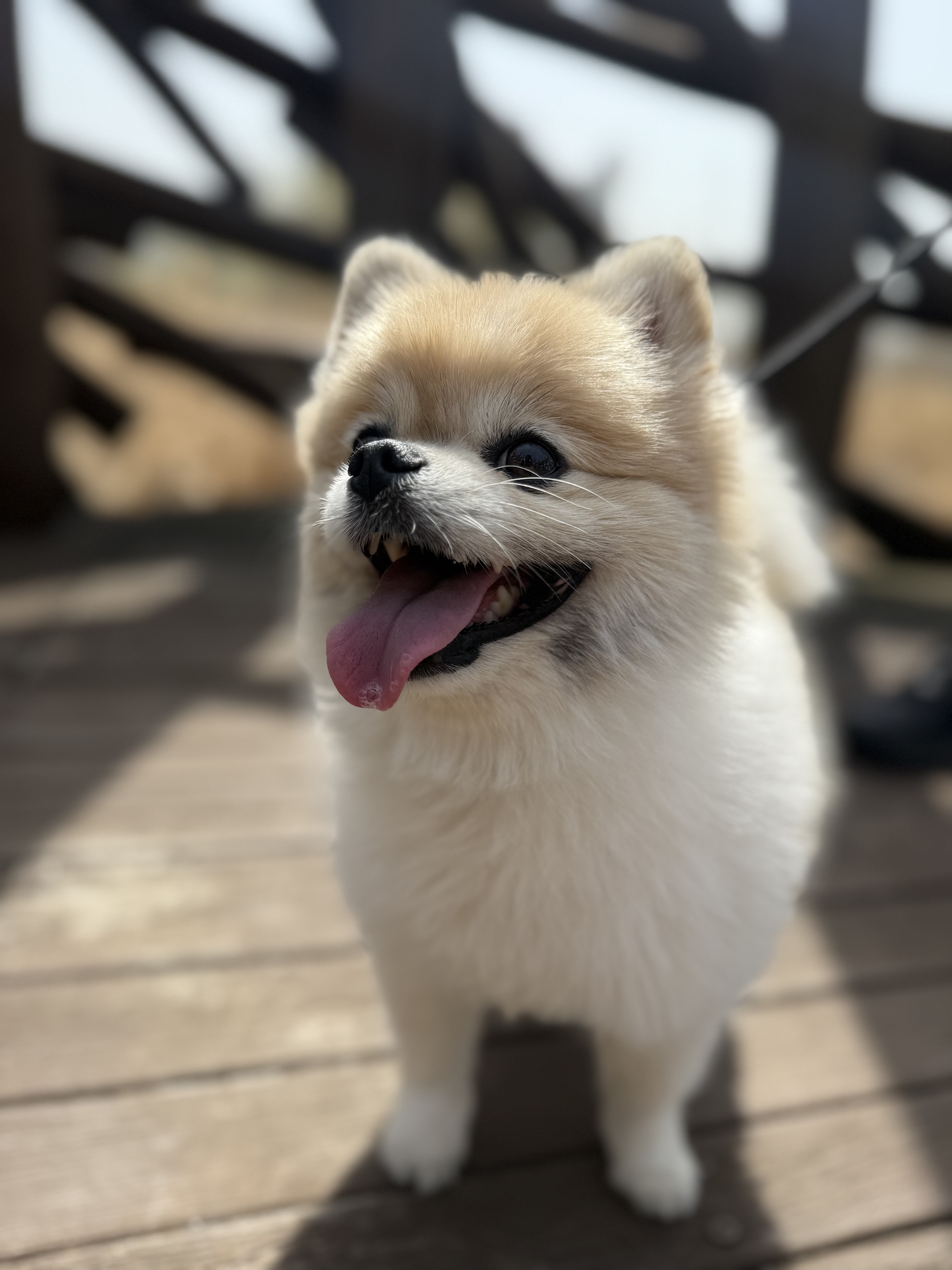 견학생스쿨