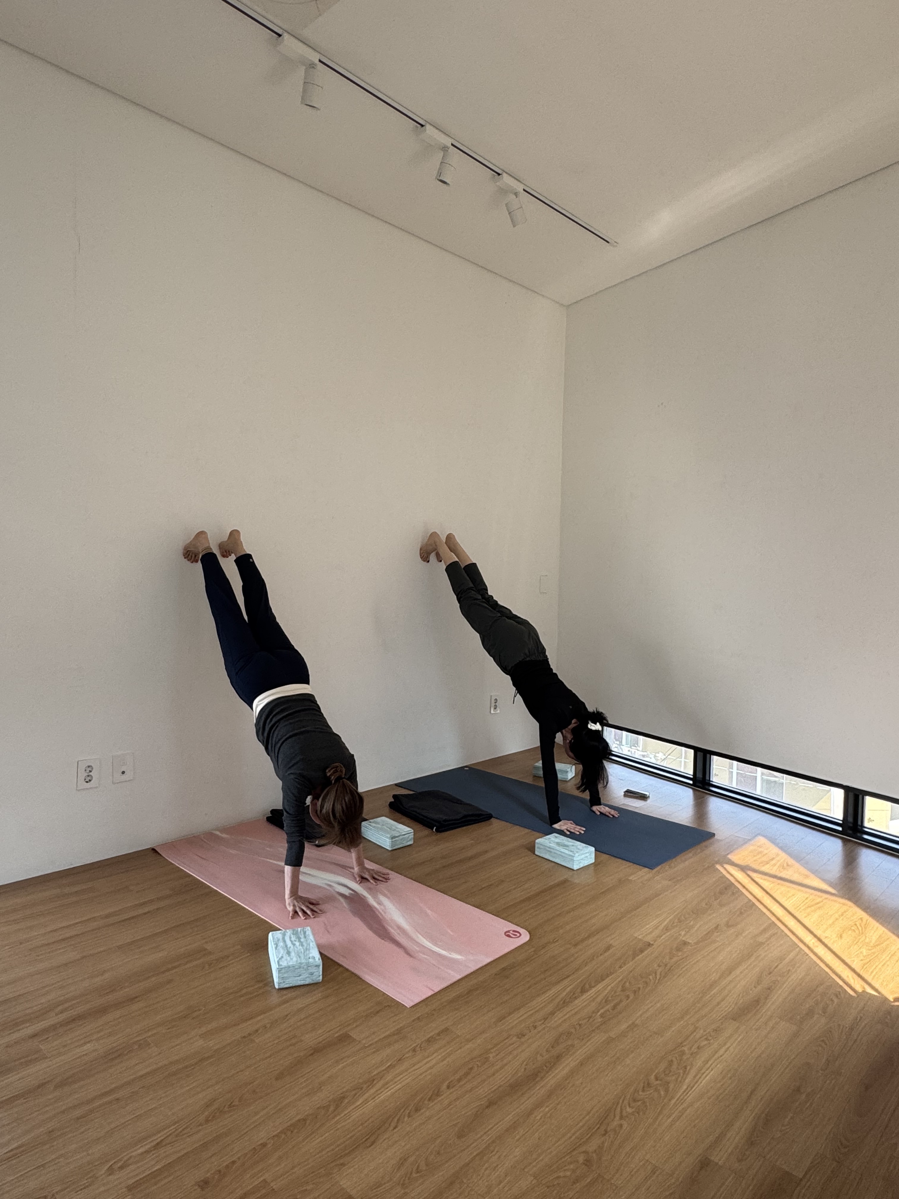 청청청요가 대표 이미지