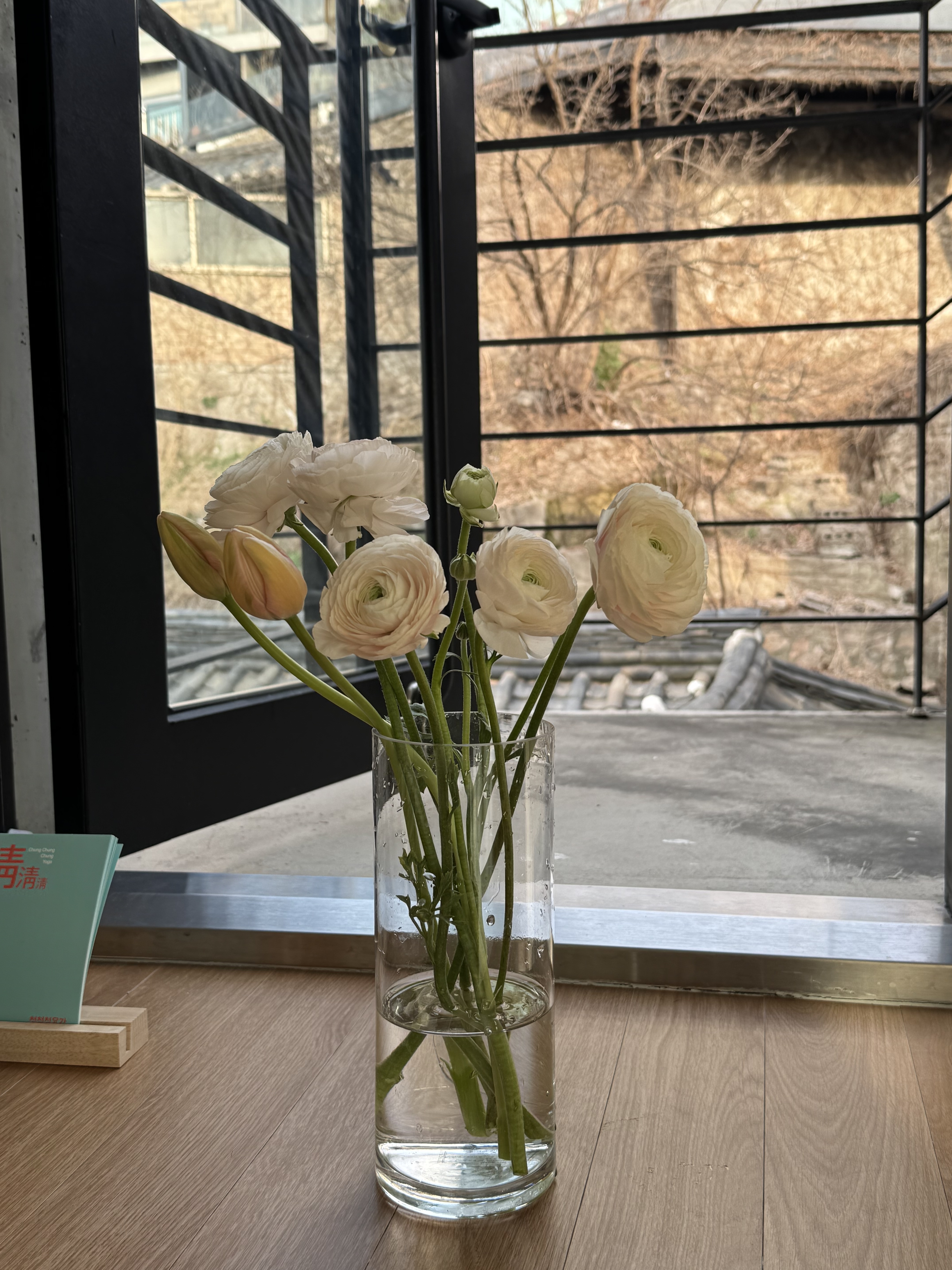 청청청요가 대표 이미지