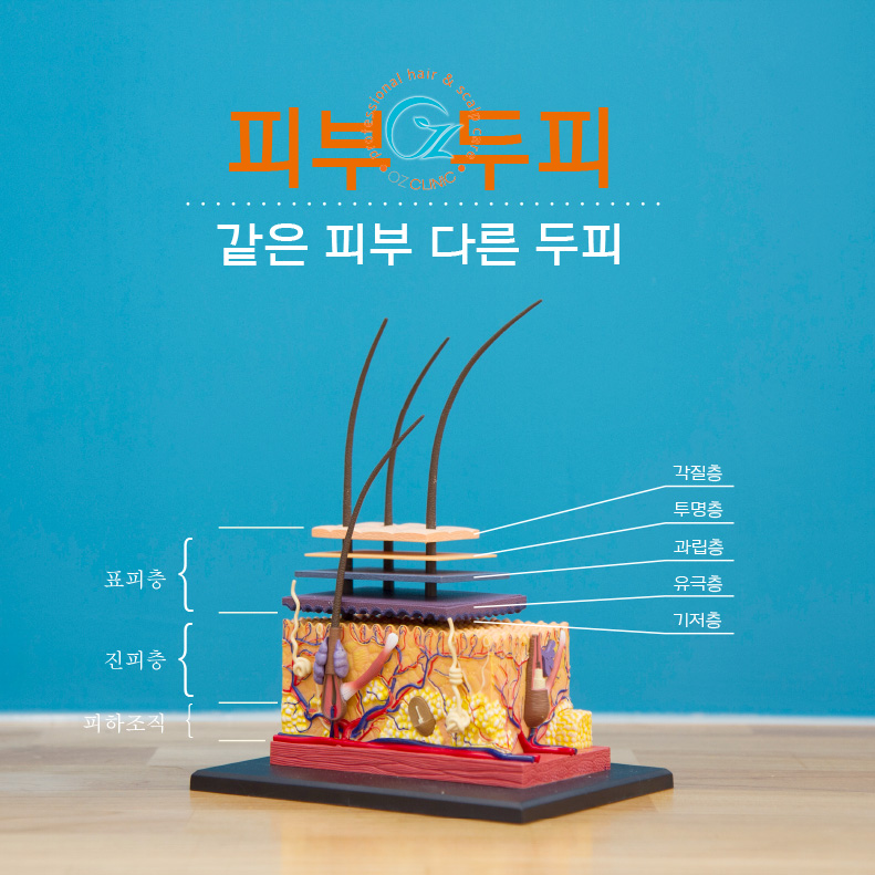 오즈헤어클리닉&두피