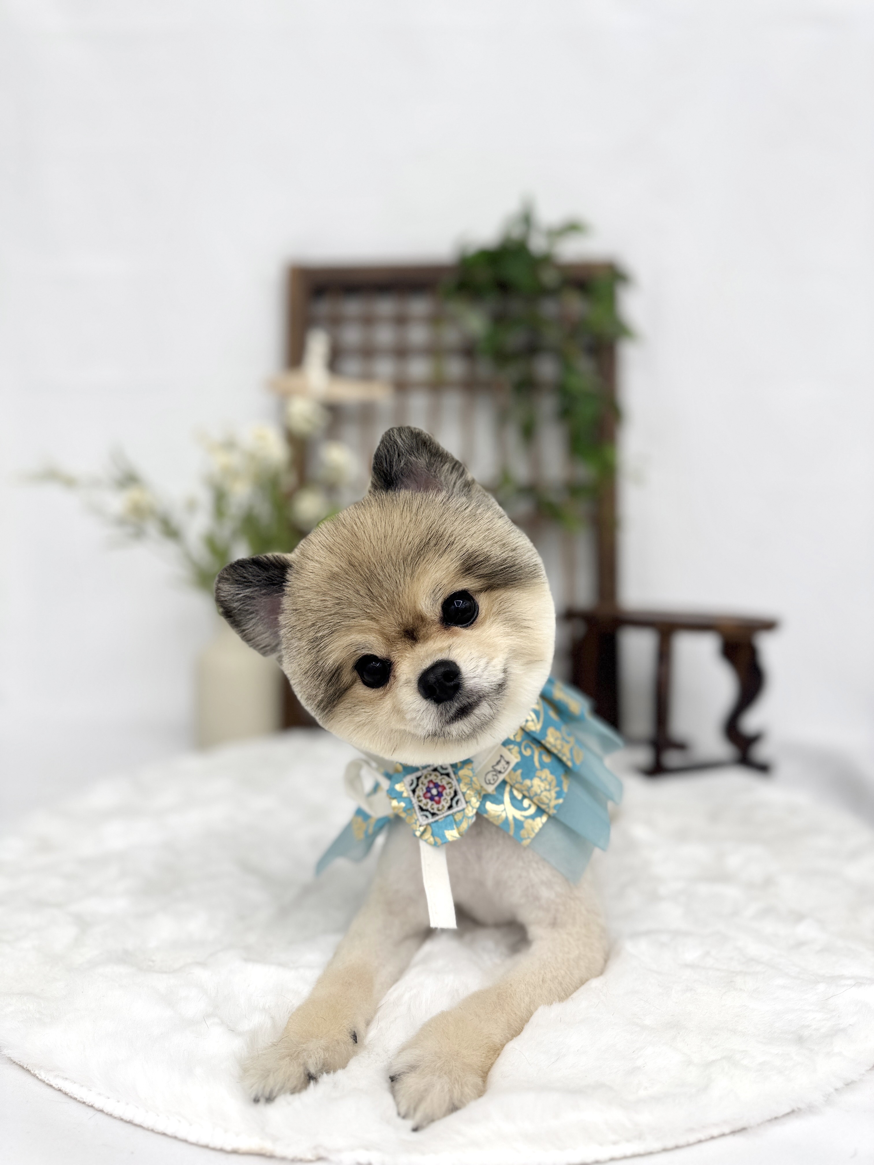 유나펫 대표 이미지