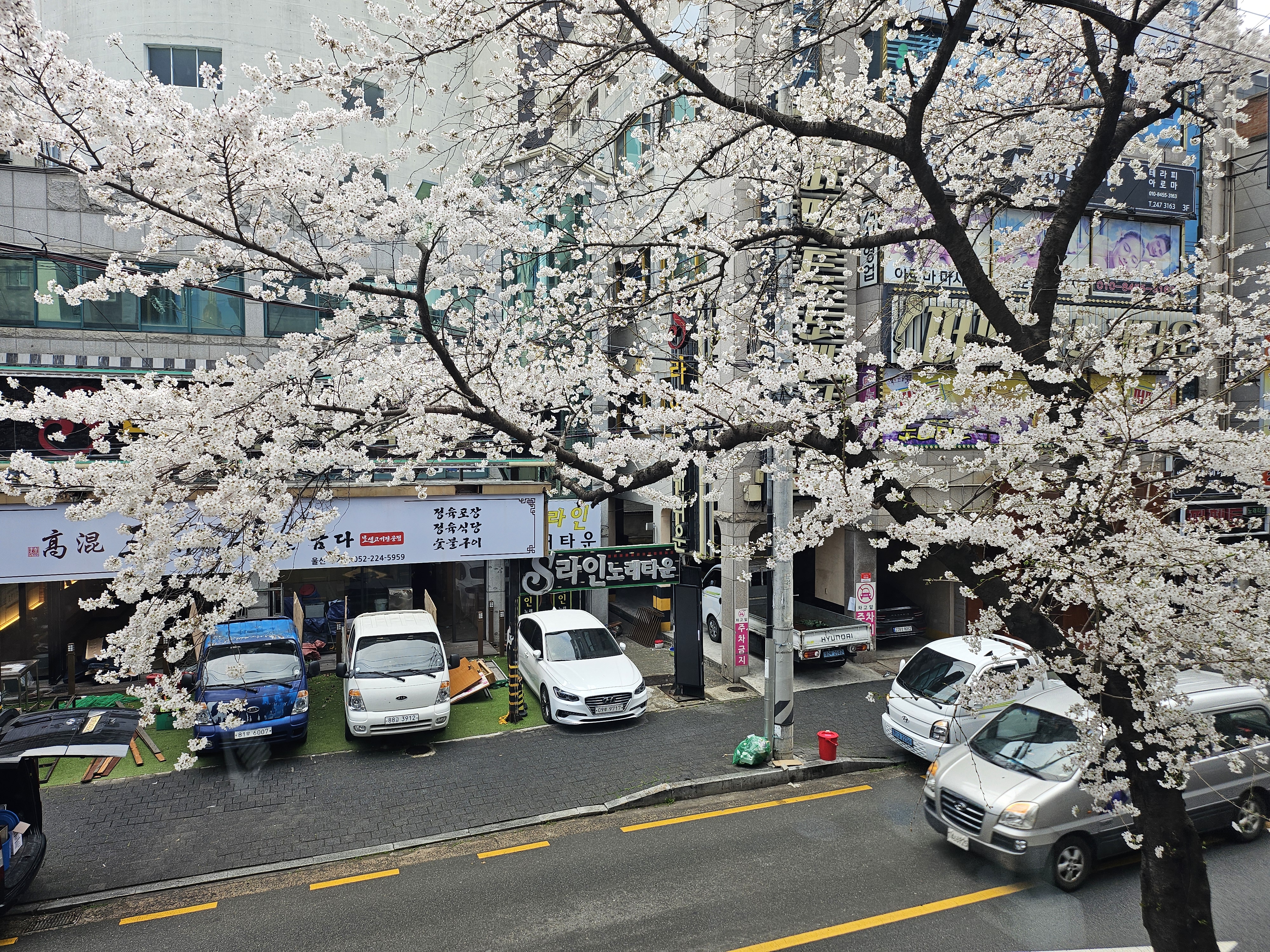 엔젤스코인노래연습장 울산무거점