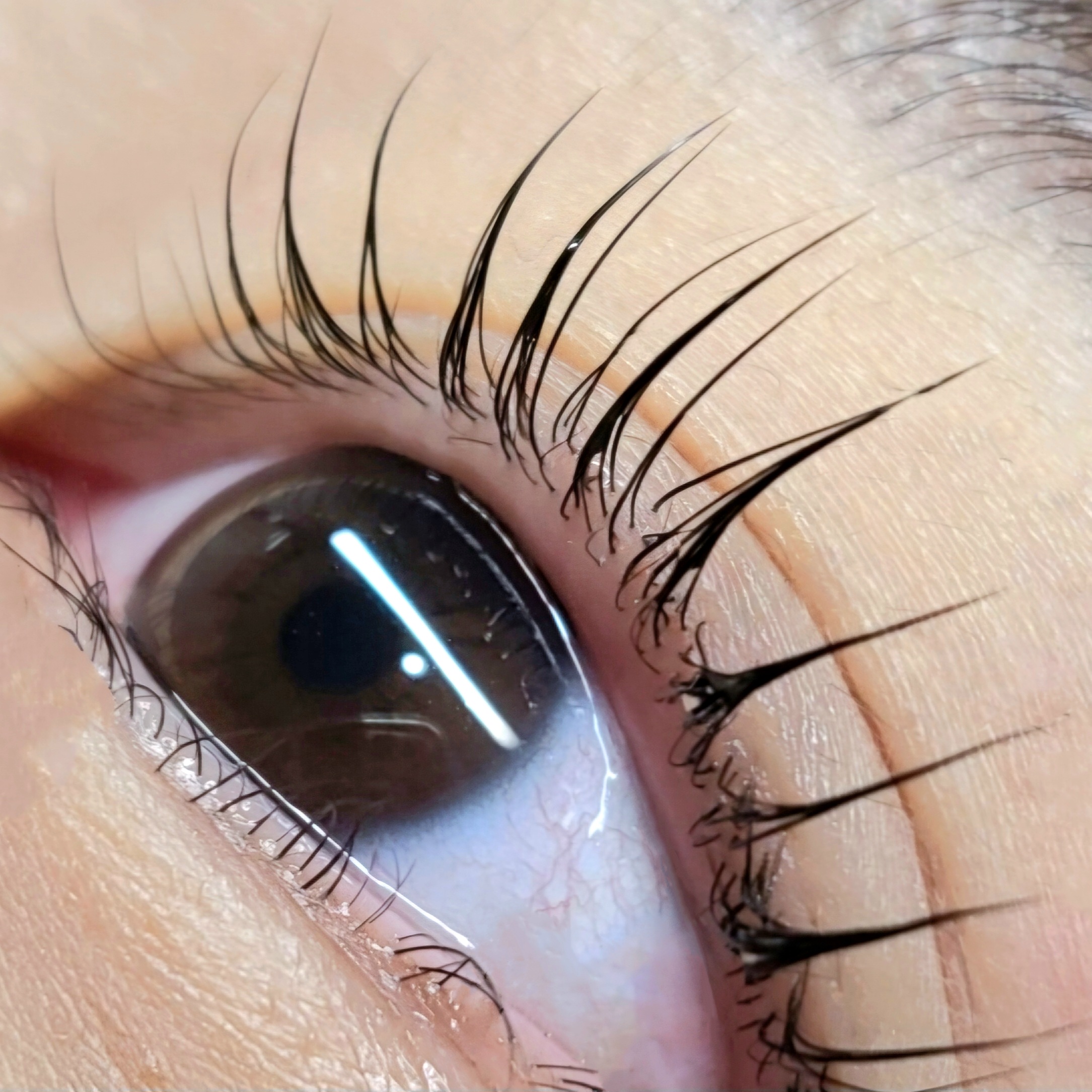 아이온래쉬 대표 이미지