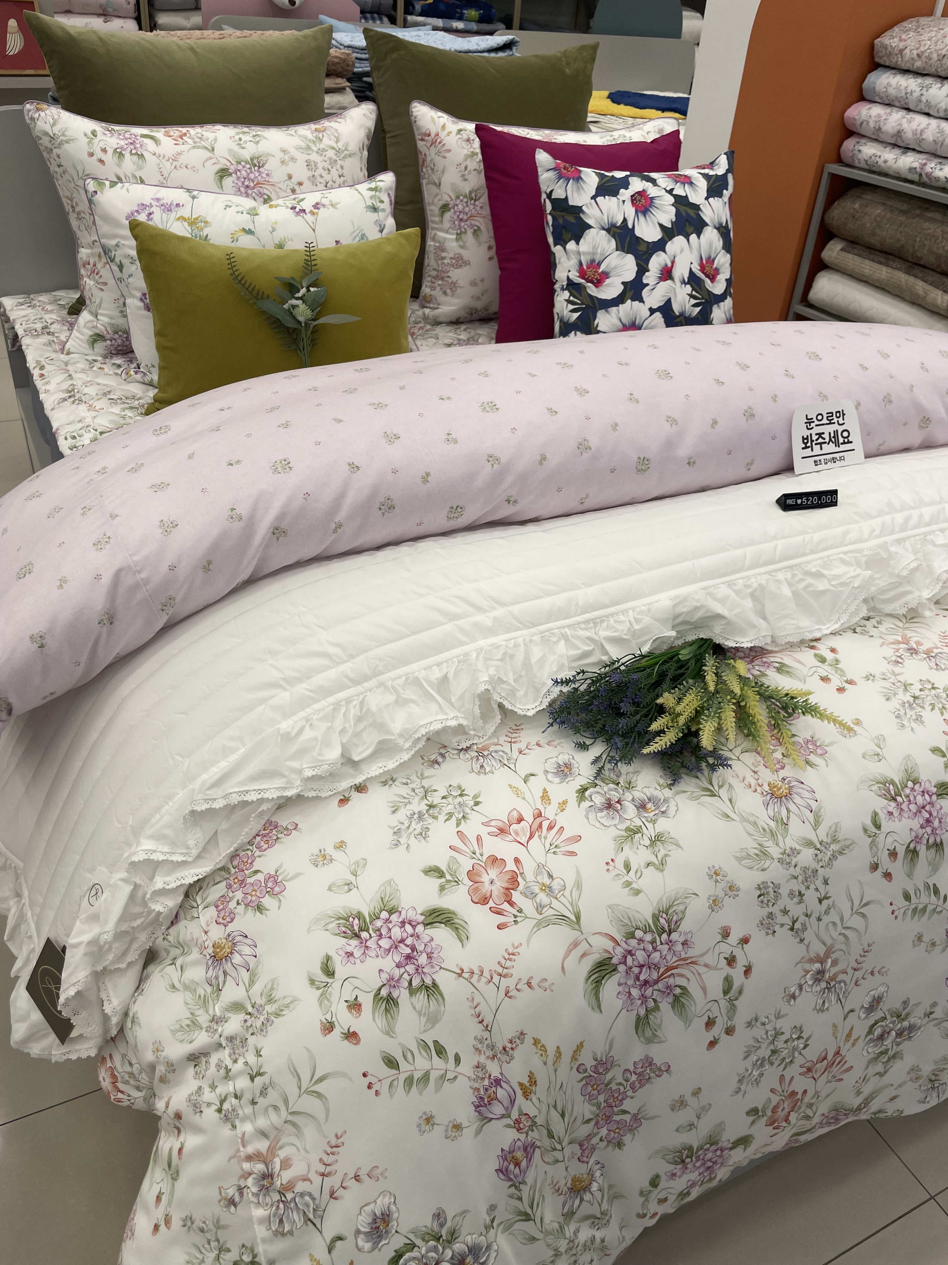 이브자리코디센 속초조양점