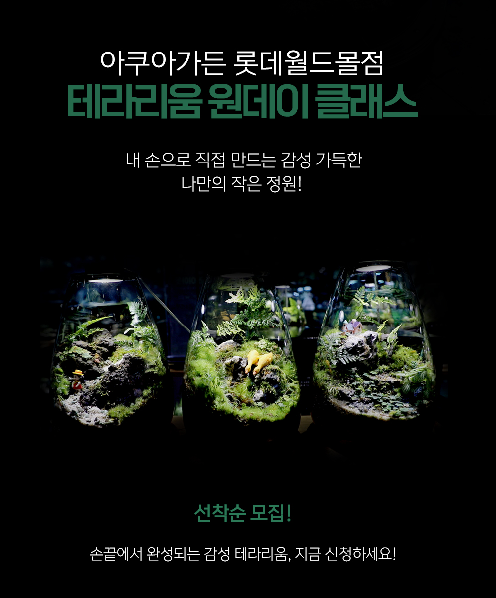 아쿠아가든카페 롯데월드몰점 내부 또는 관련 모습