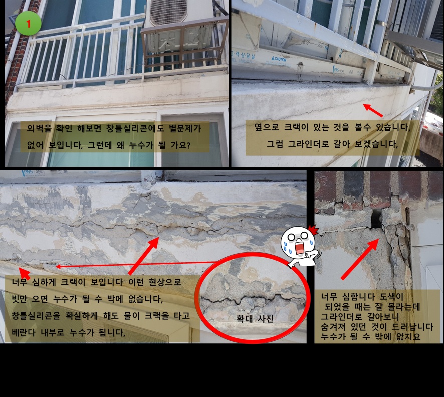 대성씨엔에스